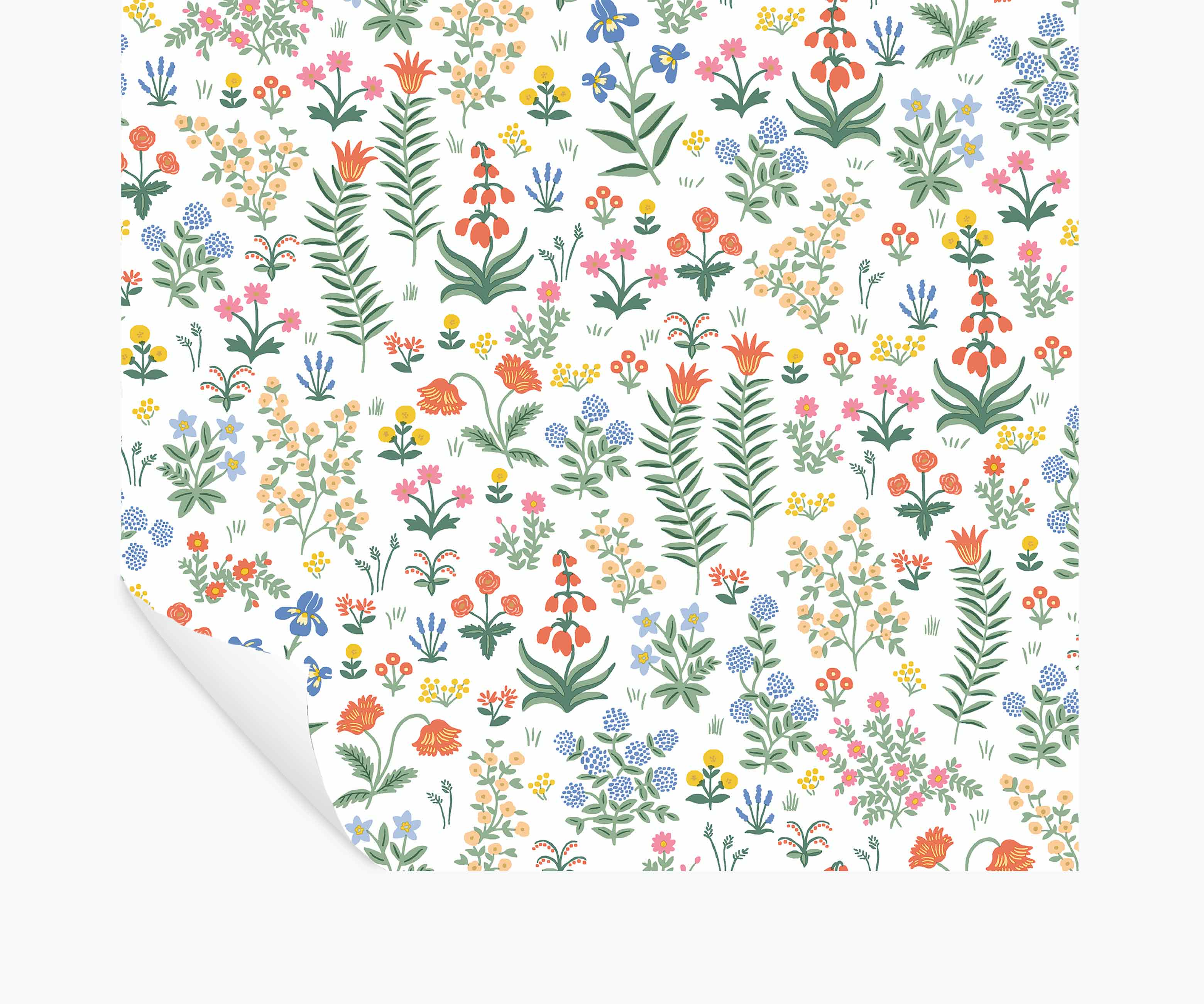 Menagerie Garden Peel & Stick Wallpaper - Rose Multi