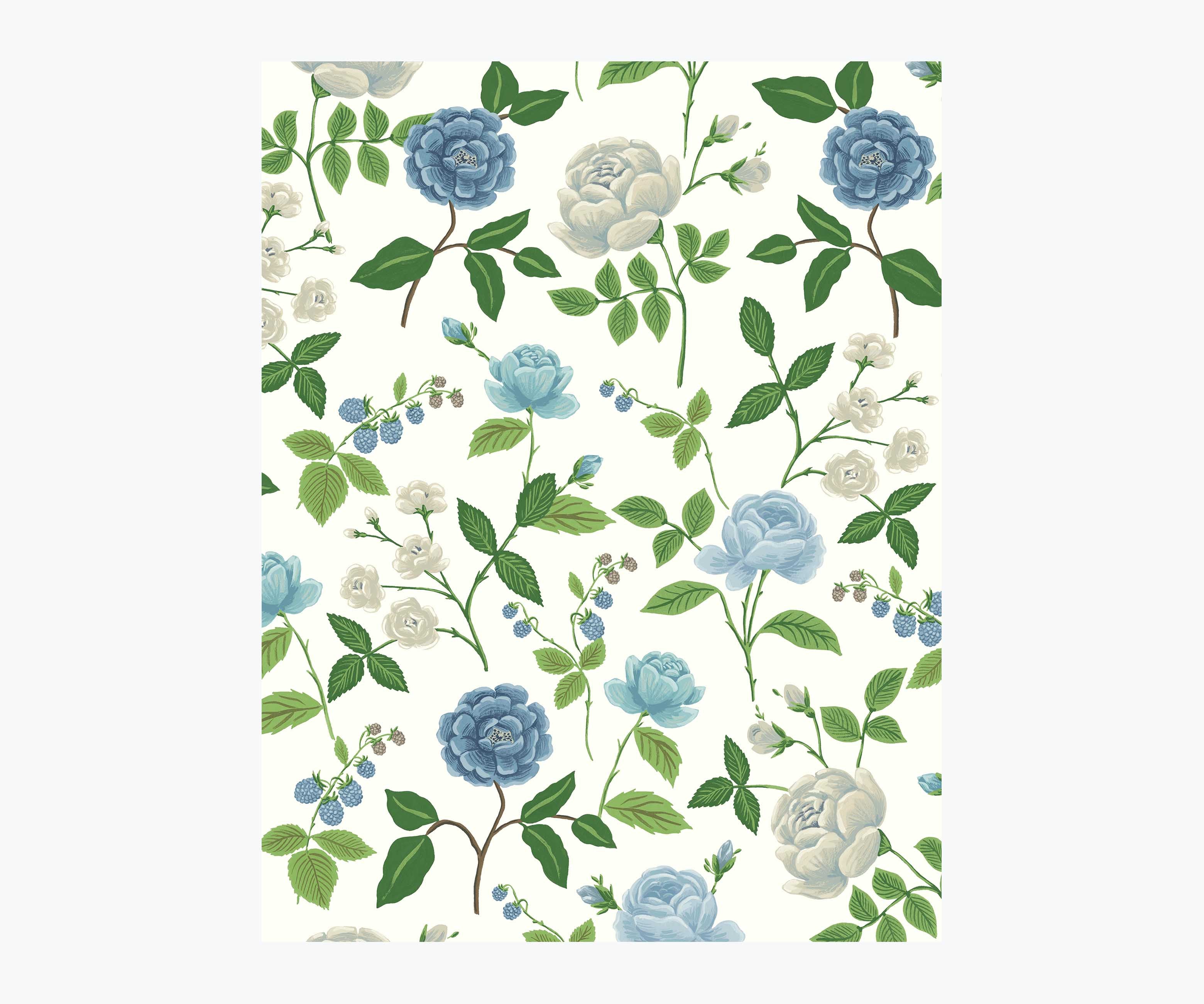 Roses Wallpaper Sample - White & Blue