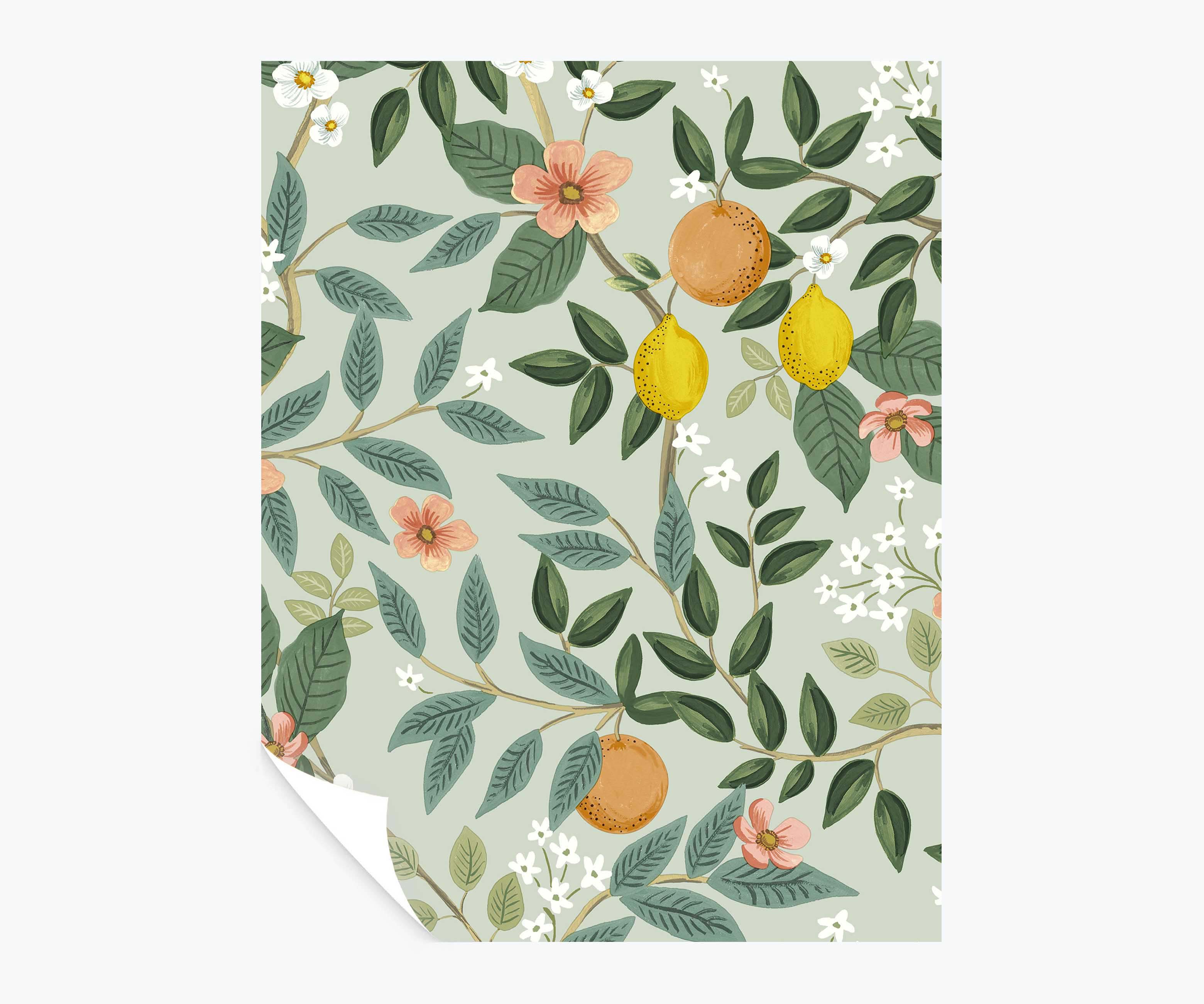 Citrus Grove Peel & Stick Wallpaper Sample - Mint