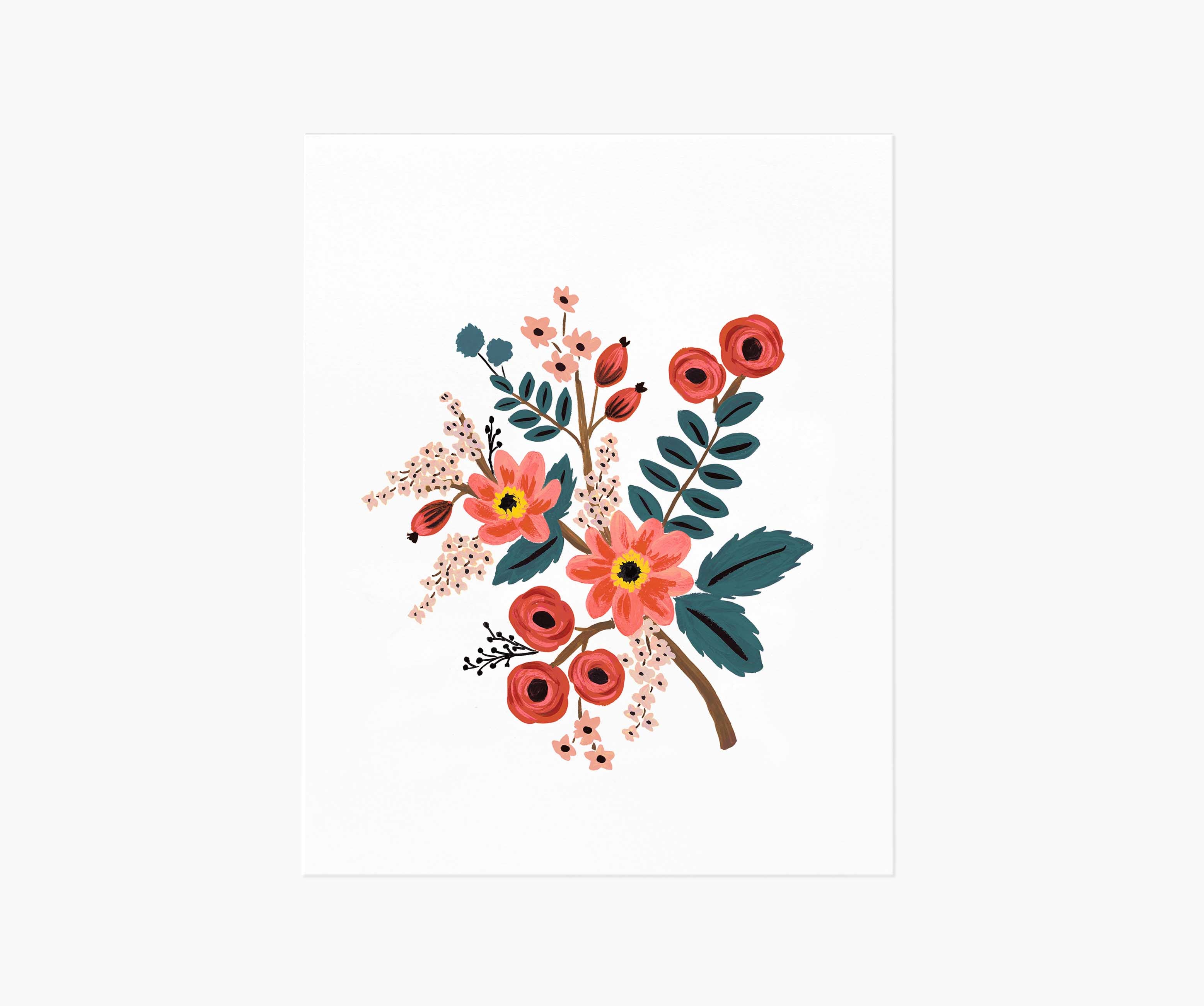 Coral Botanical Art Print