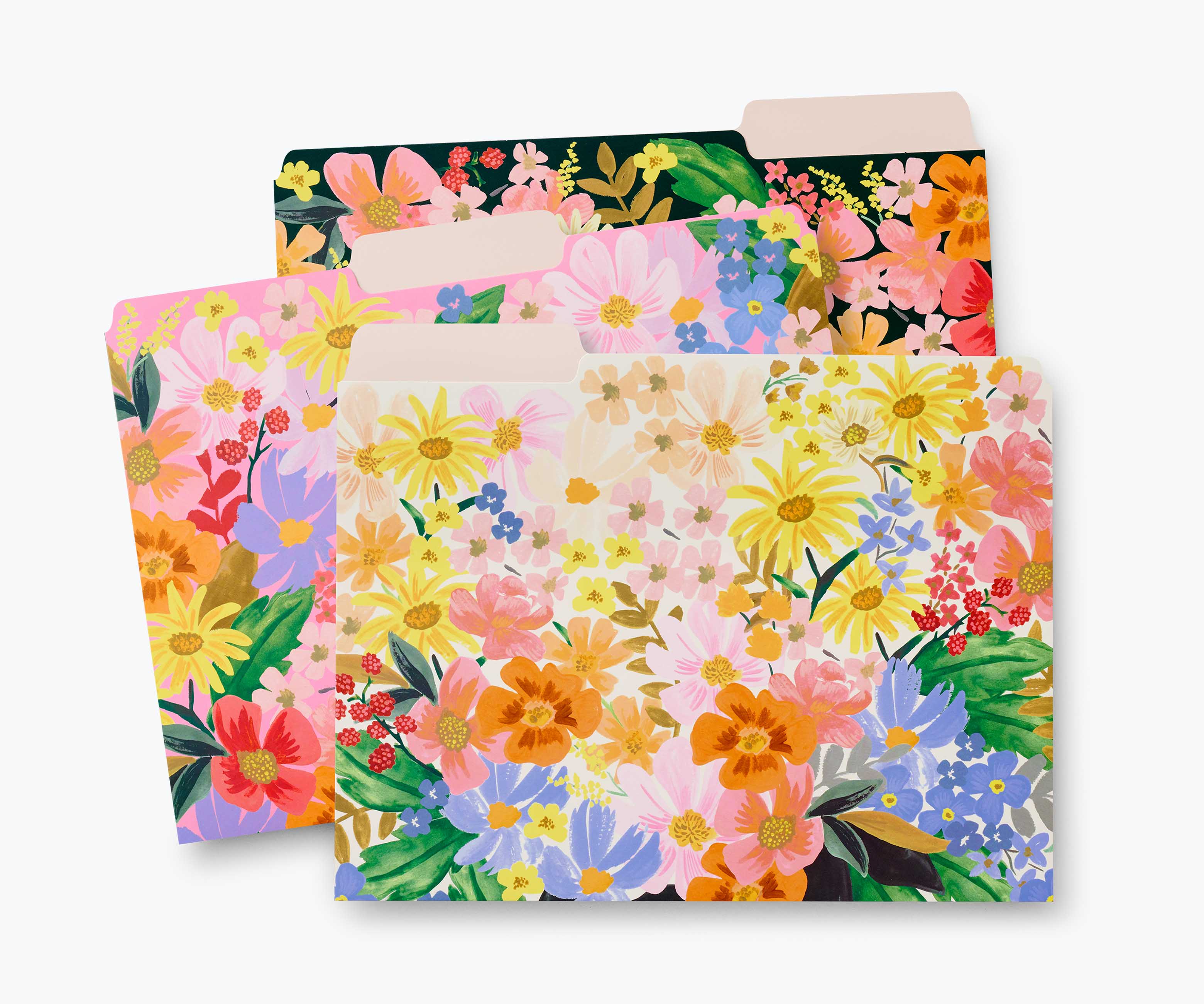 Assorted File Folders - Marguerite