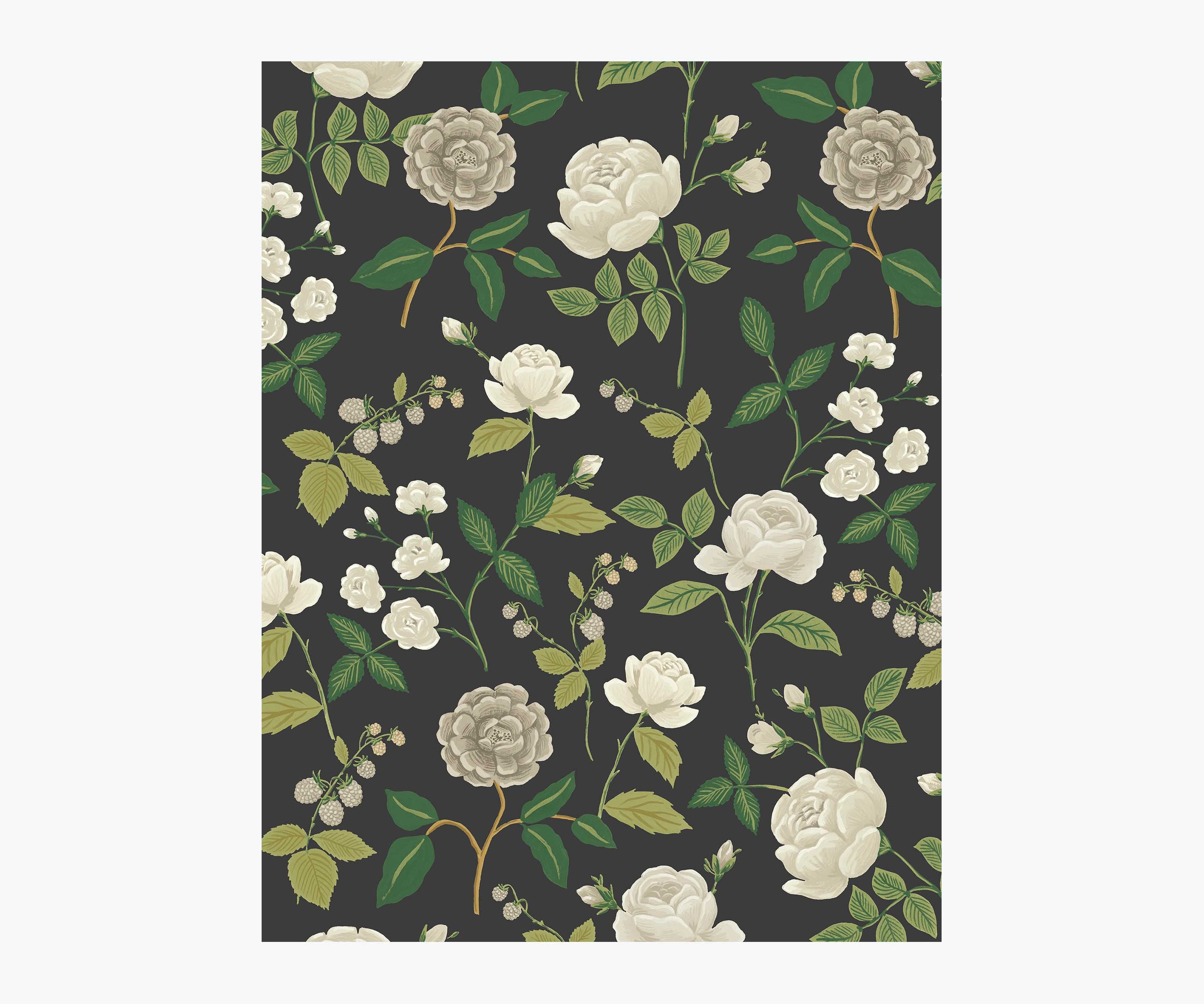 Roses Wallpaper Sample - Black