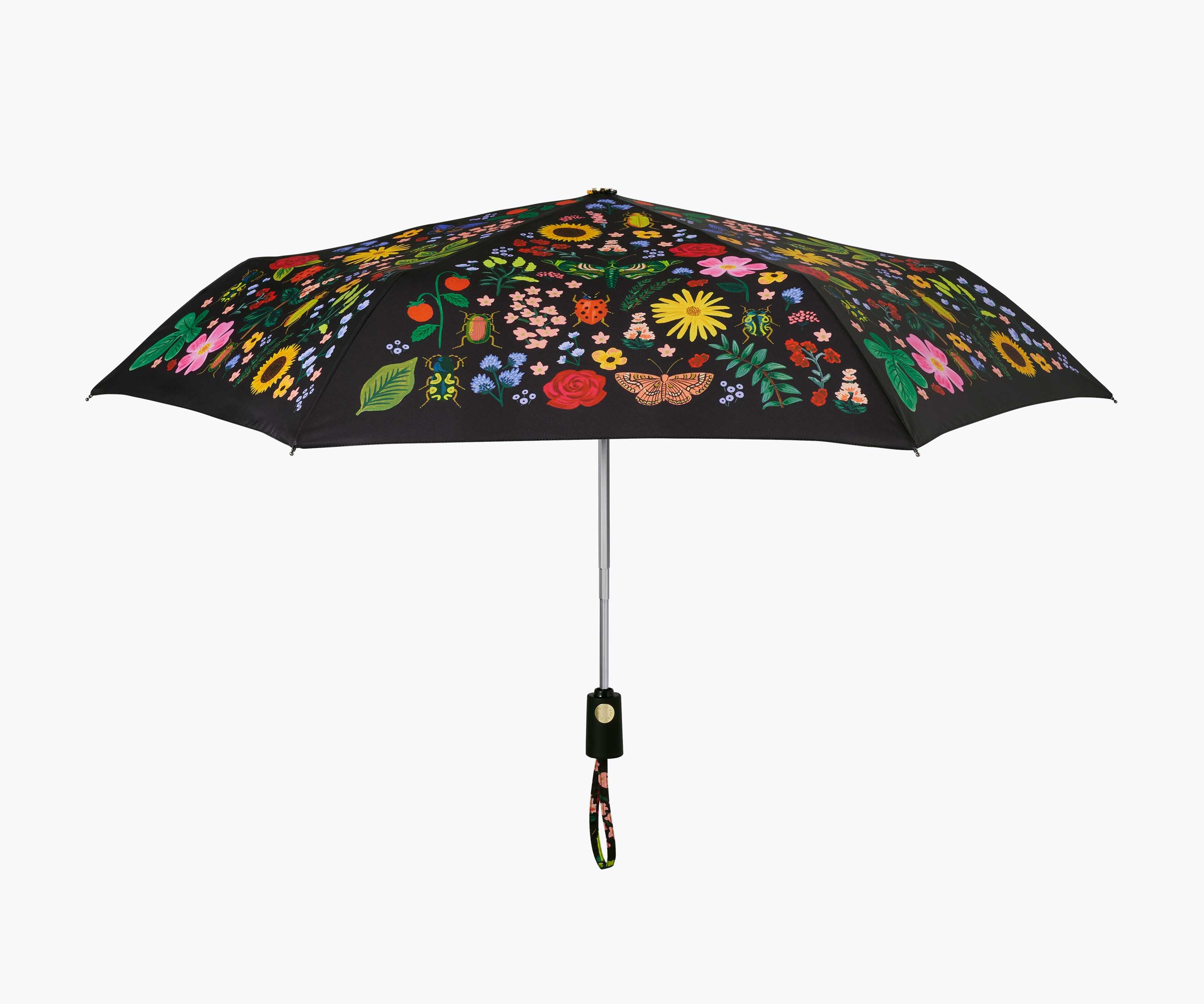 Umbrella - Curio