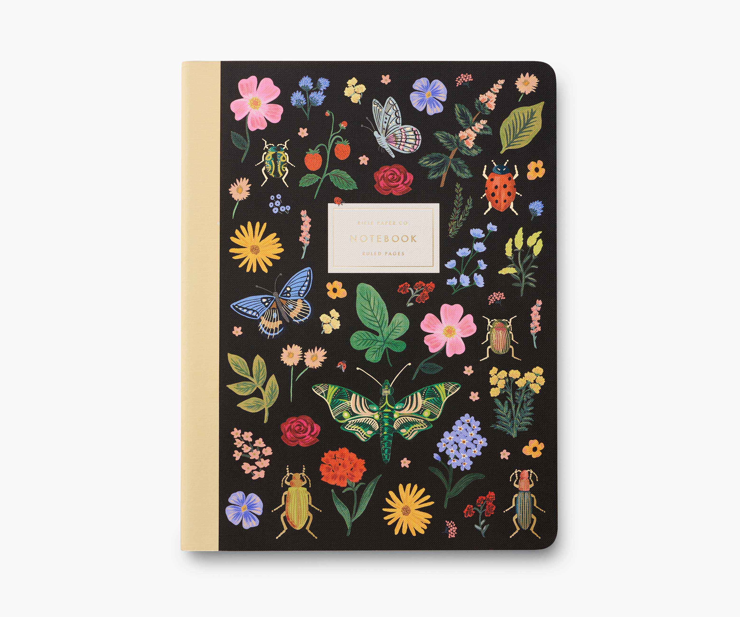 Ruled Notebook - Curio