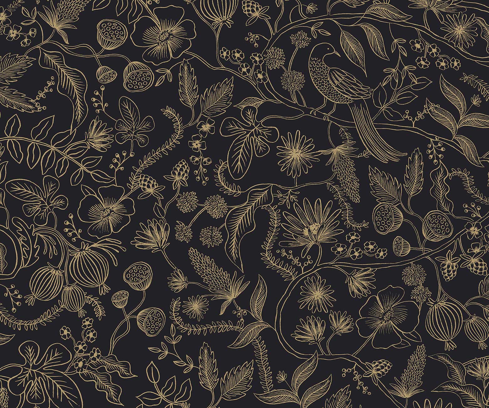 Aviary Peel & Stick Wallpaper - Metallic Gold & Black