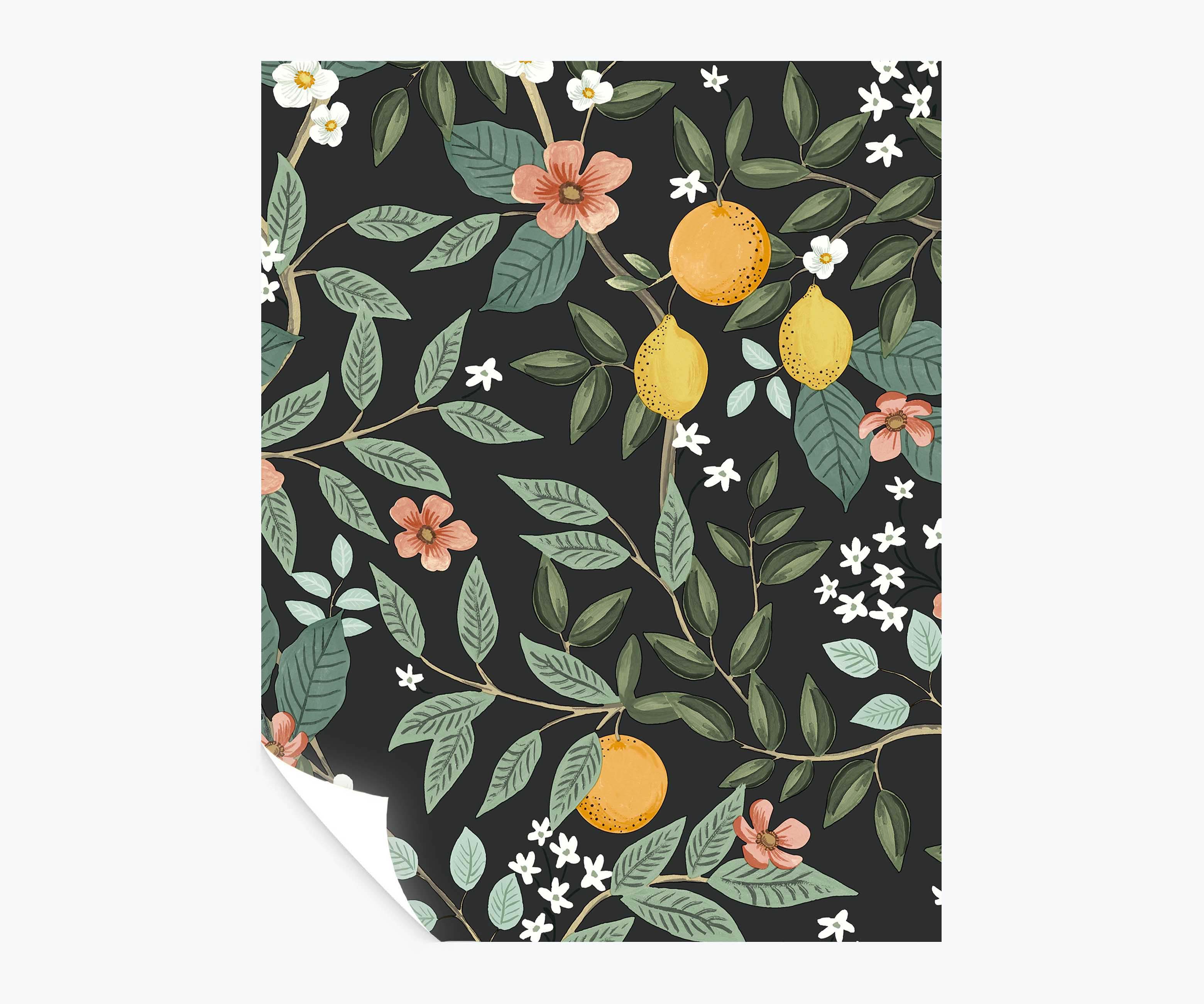 Citrus Grove Peel & Stick Wallpaper Sample - Black