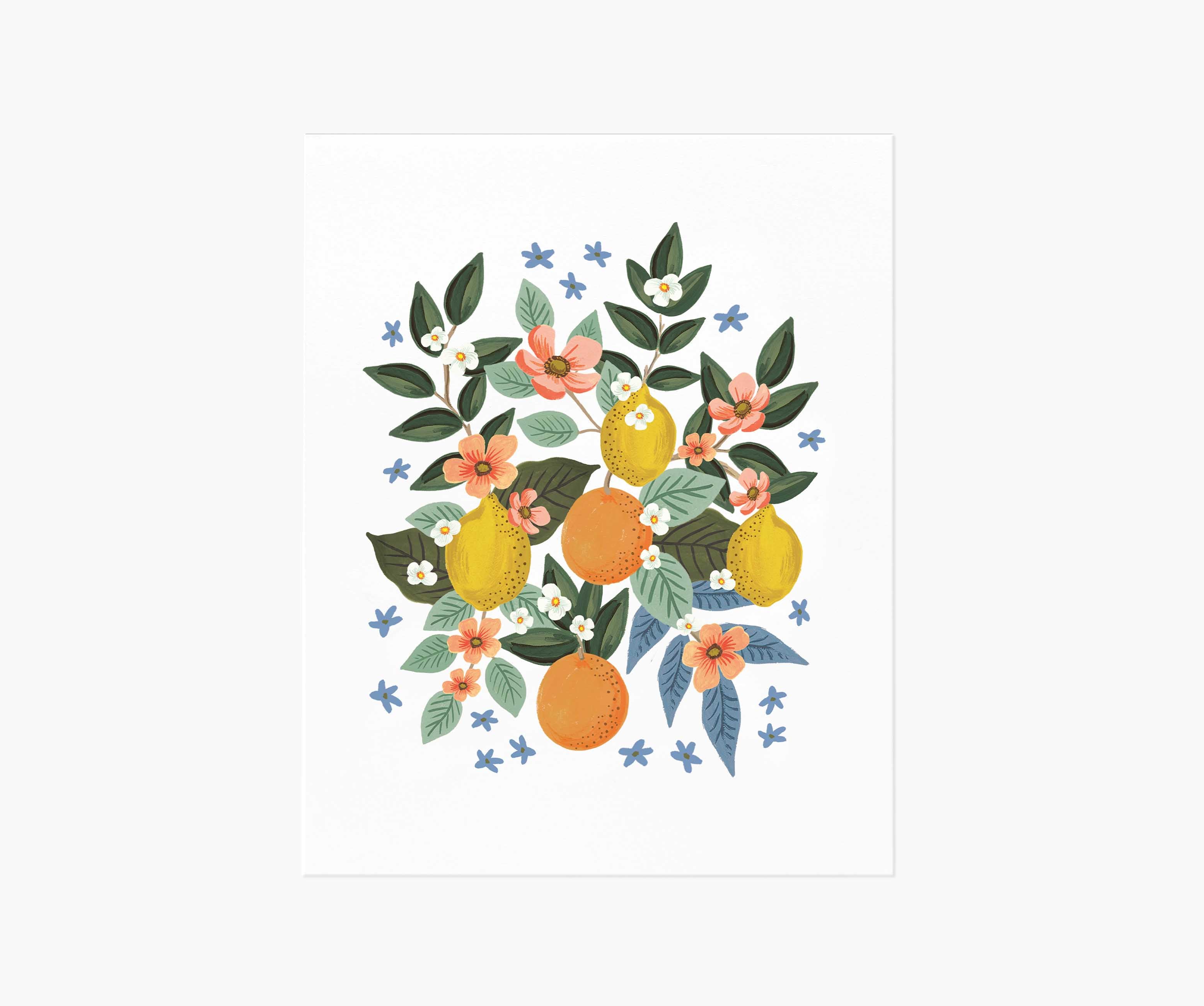 Citrus Grove Cluster Art Print