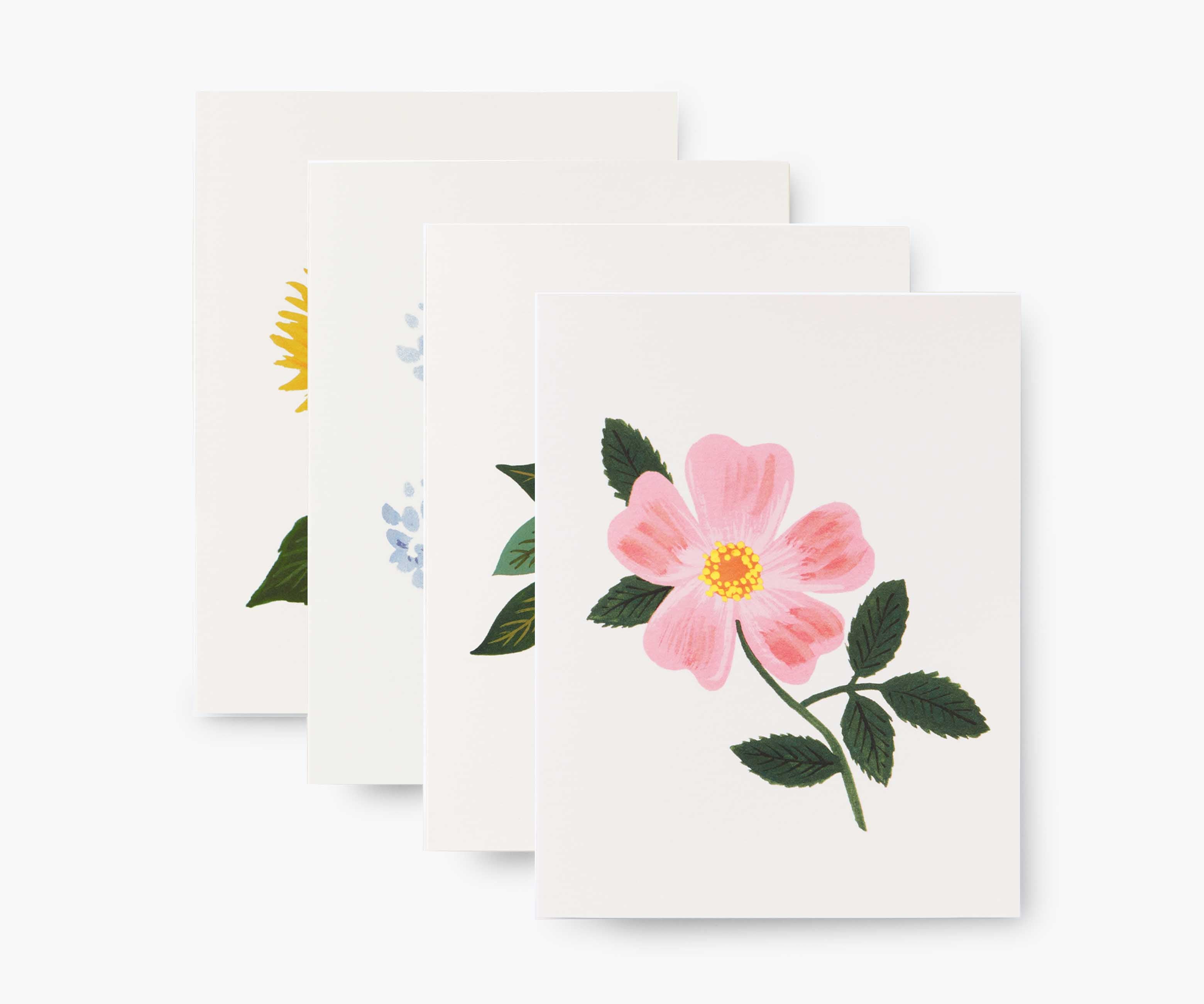 Botanical Blossom Assorted Card Set