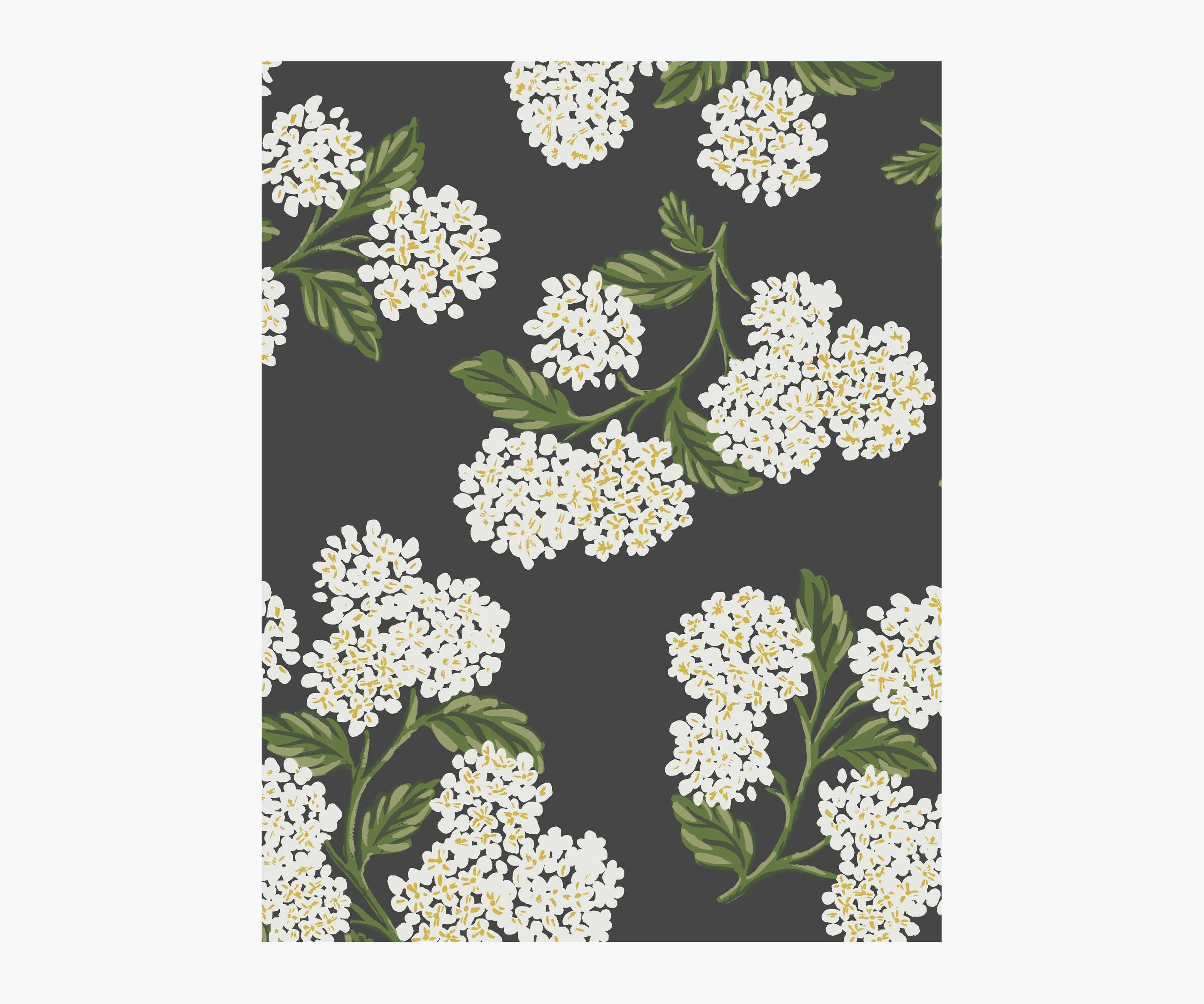 Hydrangea Wallpaper Sample - Black & White