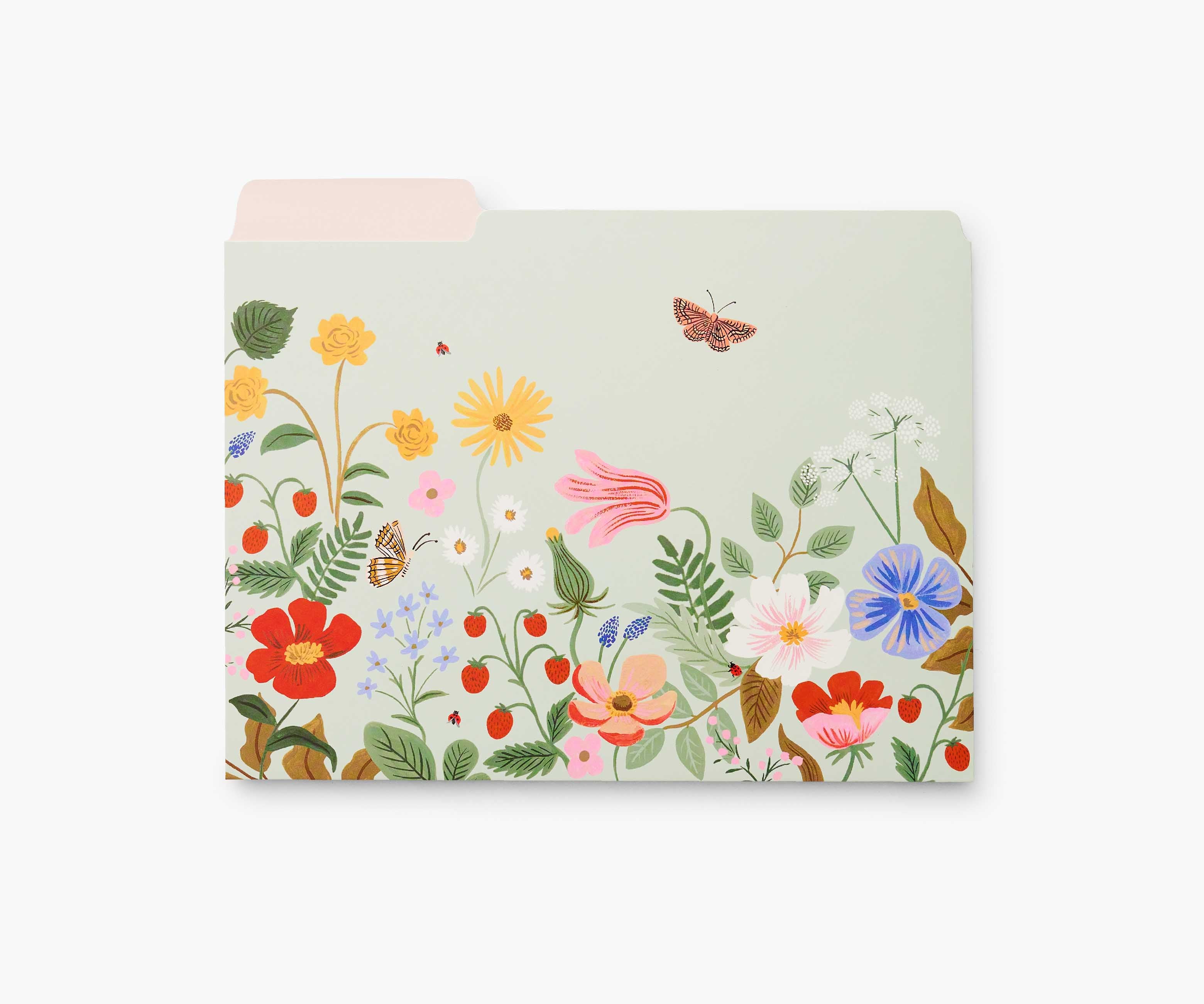 Assorted File Folders - Strawberry Fields