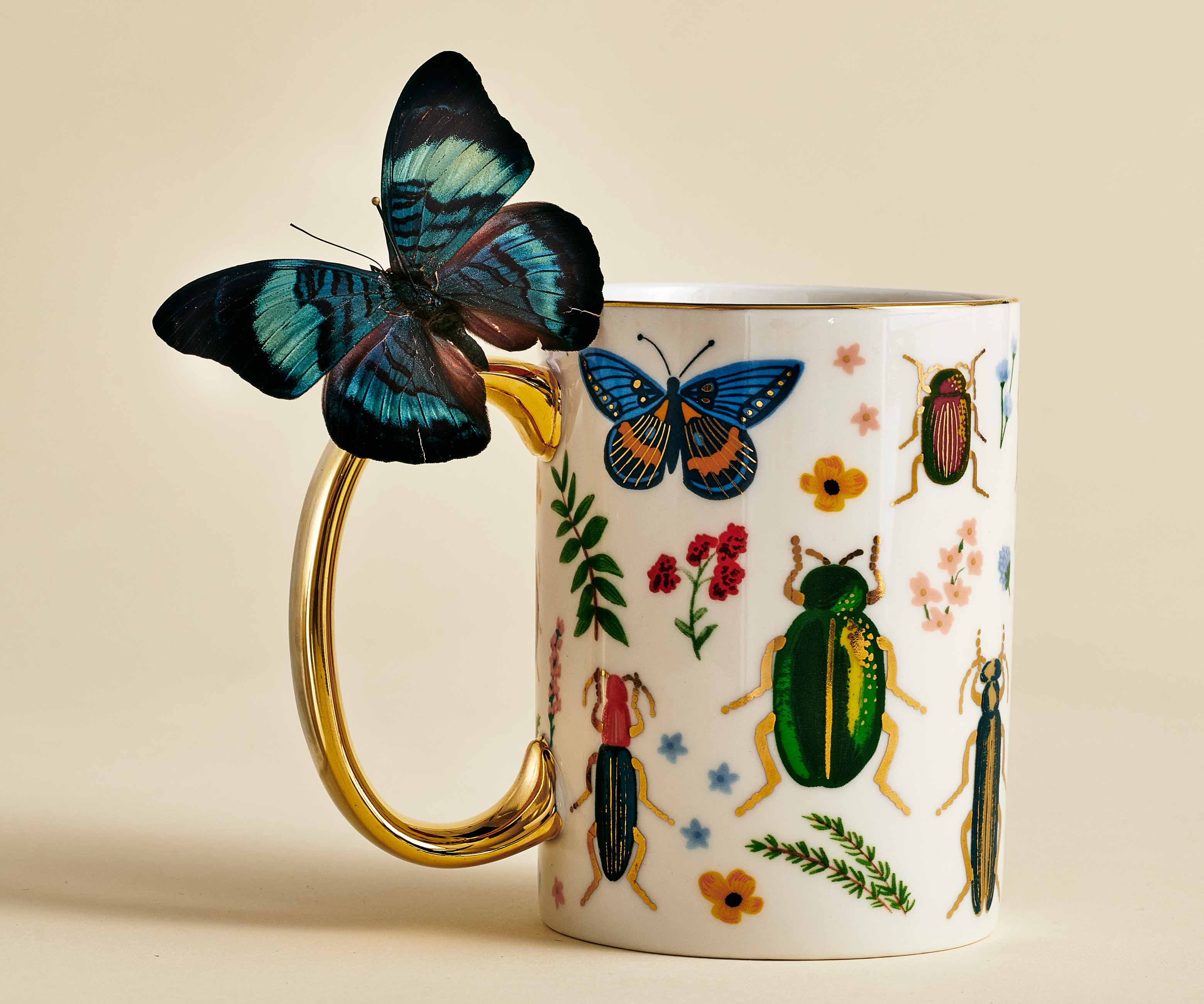 Porcelain Mug - Curio