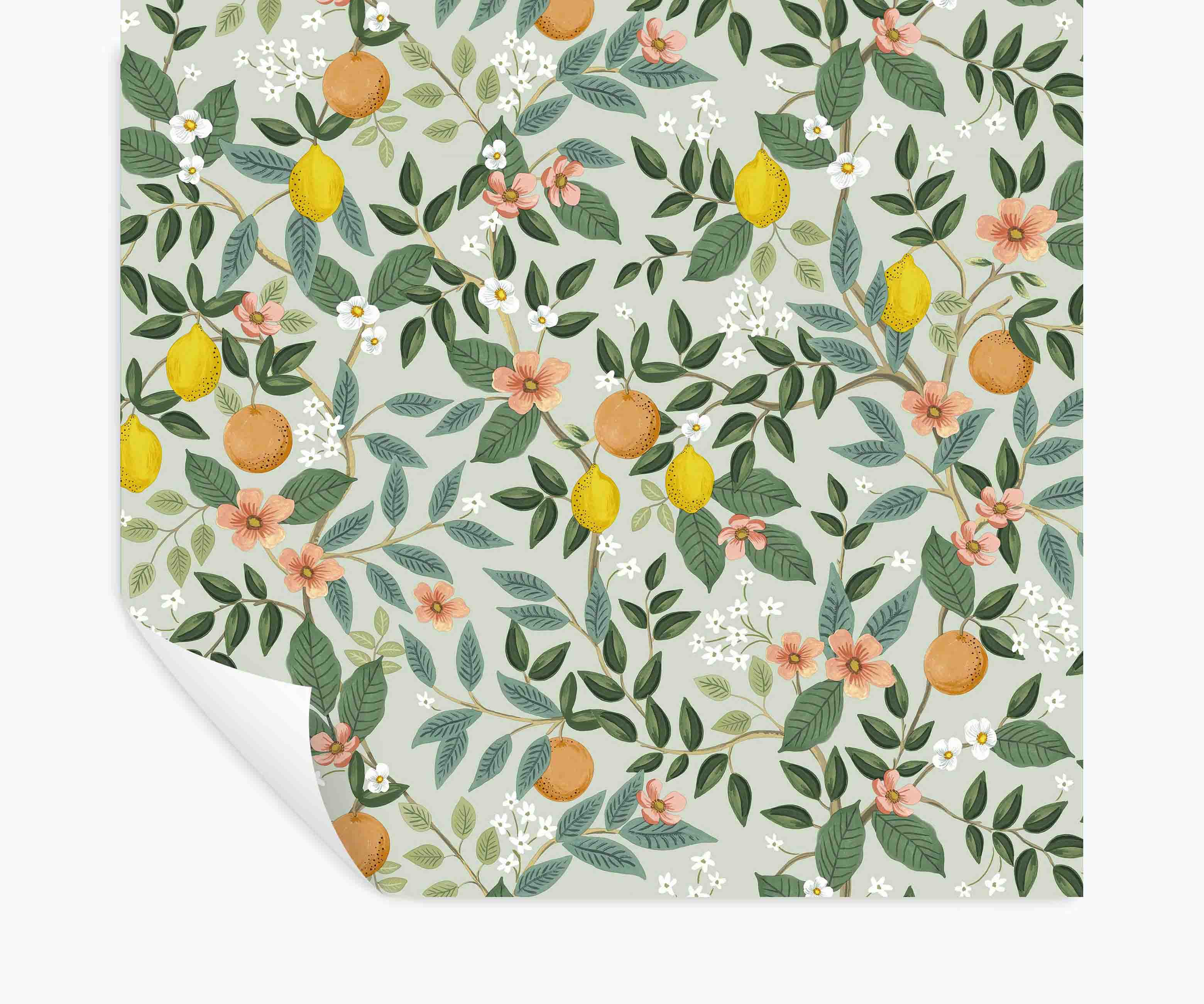 Citrus Grove Peel & Stick Wallpaper - Mint