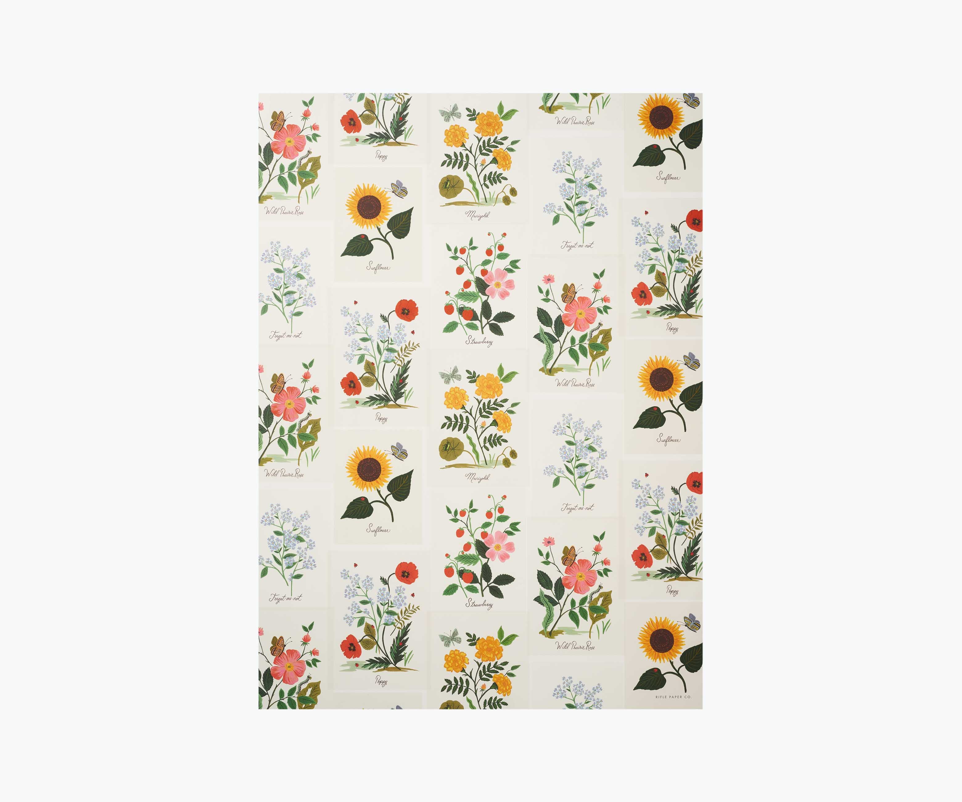 Wrapping Sheets - Botanical