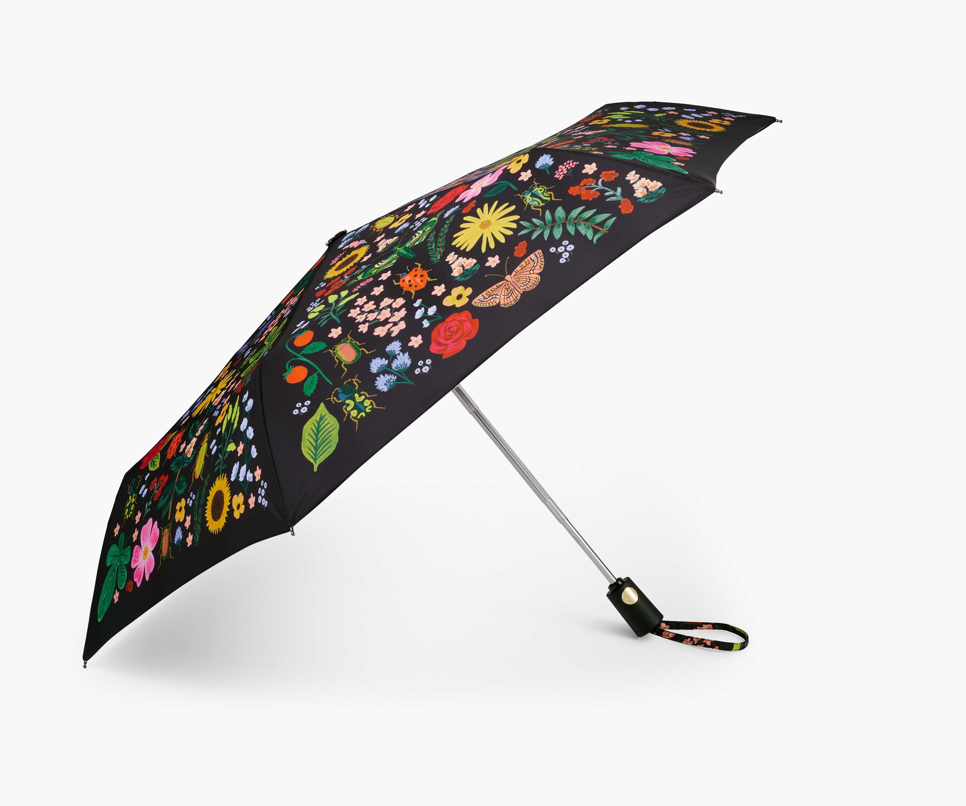 Umbrella - Curio