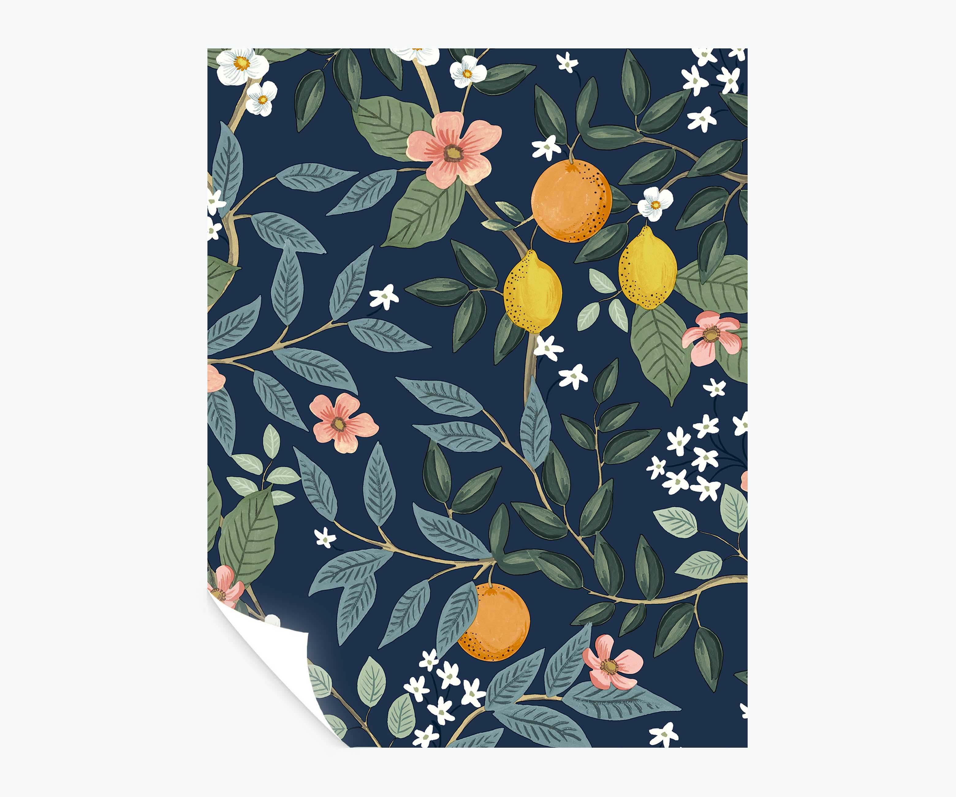 Citrus Grove Peel & Stick Wallpaper Sample - Navy