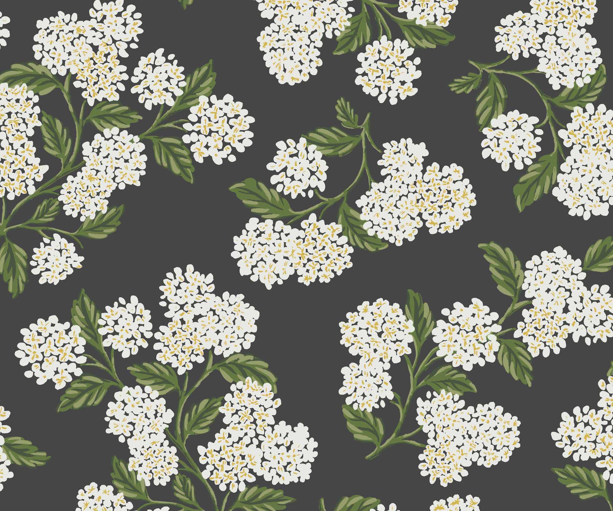 Hydrangea Wallpaper - Black & White