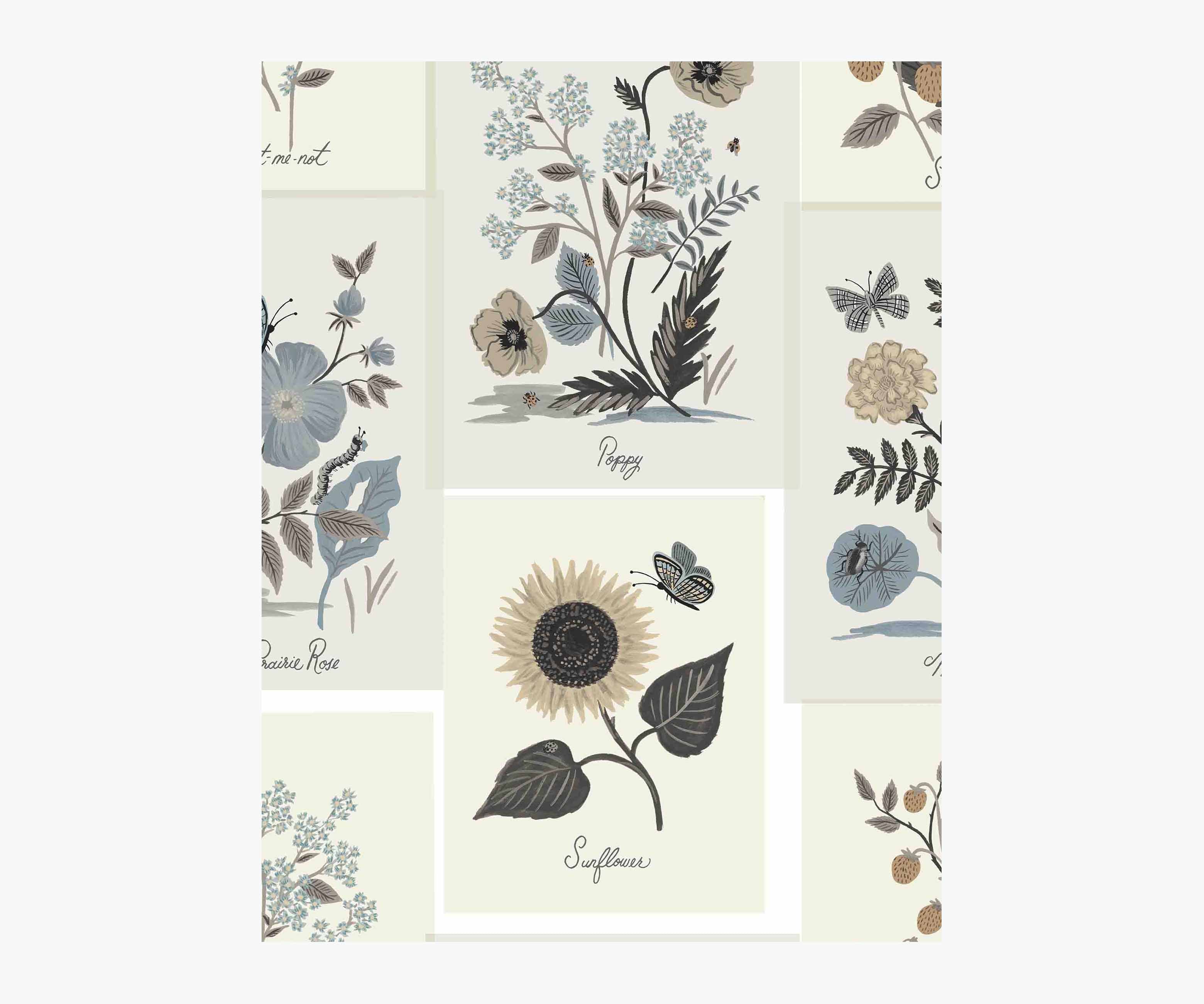 Botanical Prints Wallpaper Sample - Linen