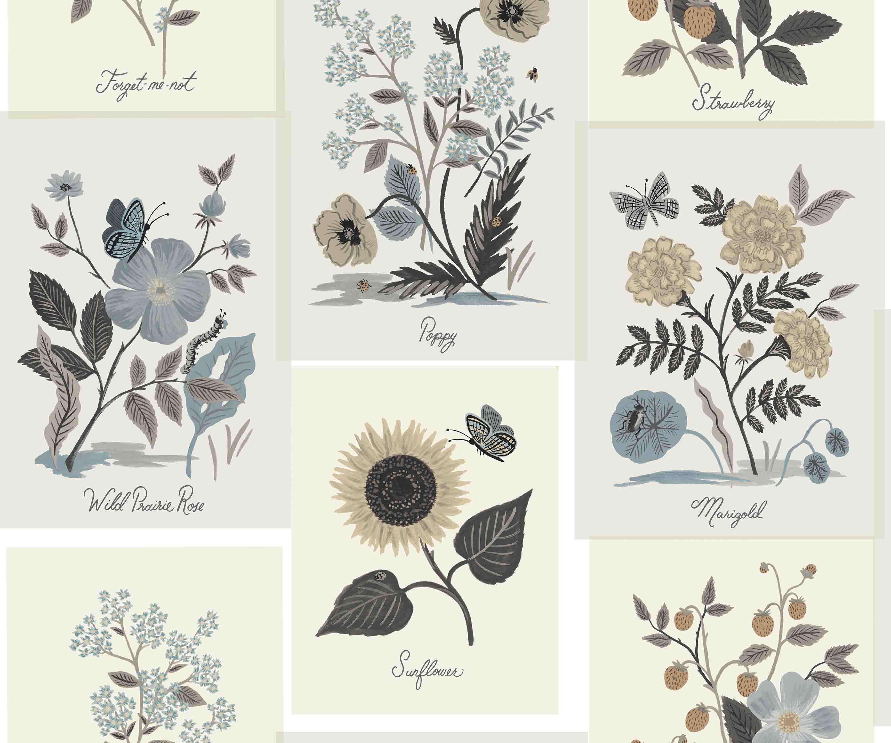 Botanical Prints Wallpaper - Linen