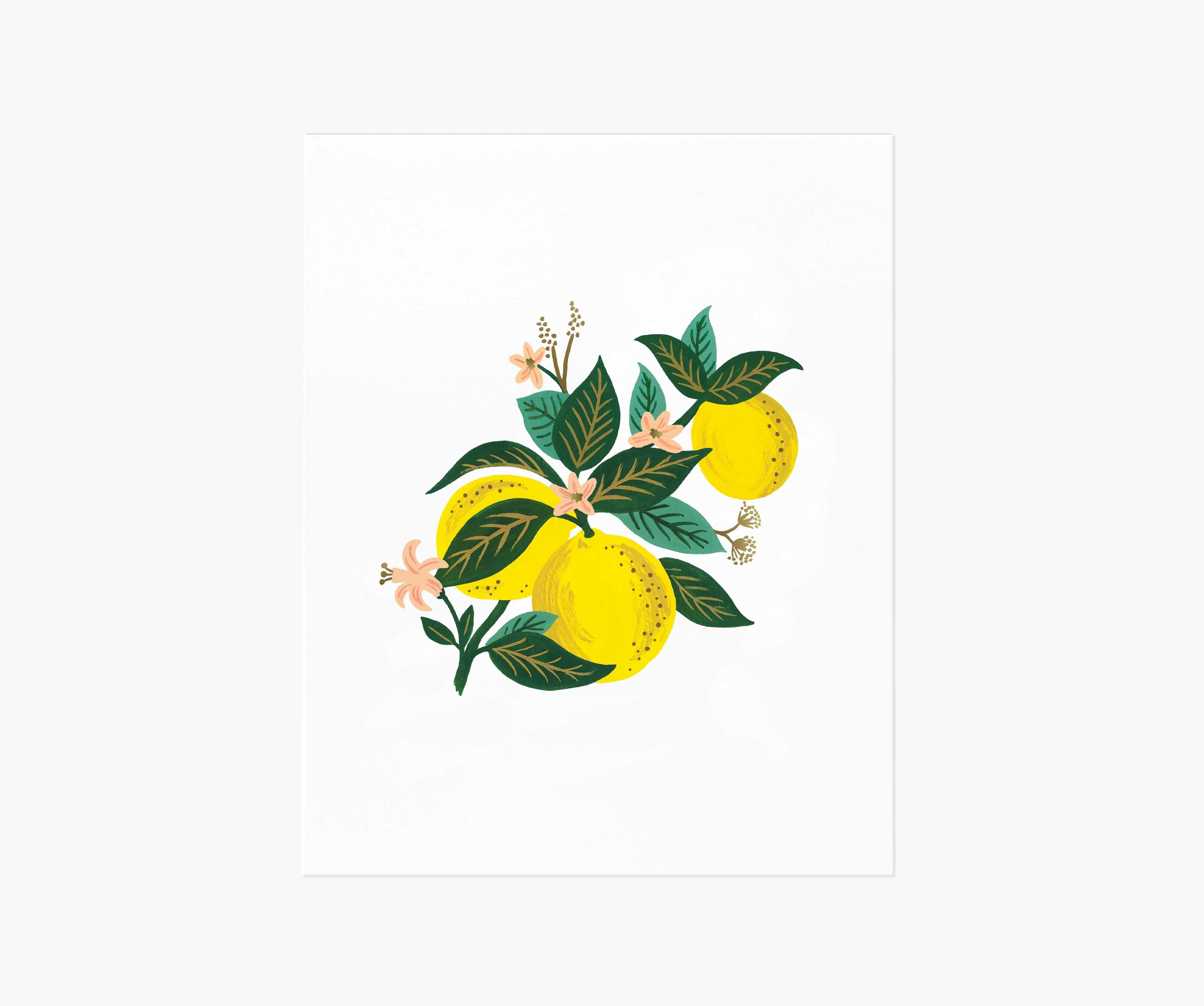 Lemon Blossom Art Print