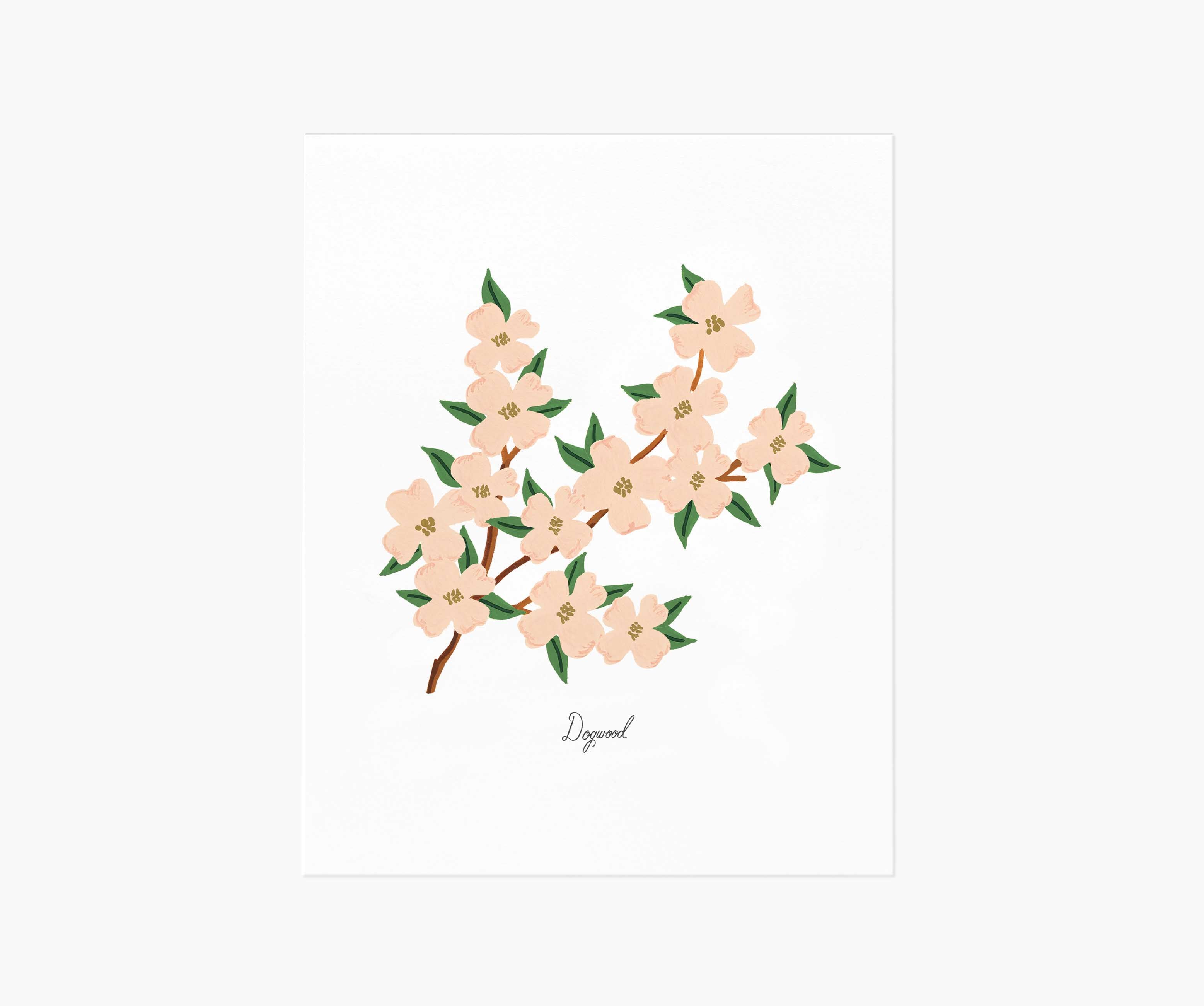 Dogwood Art Print