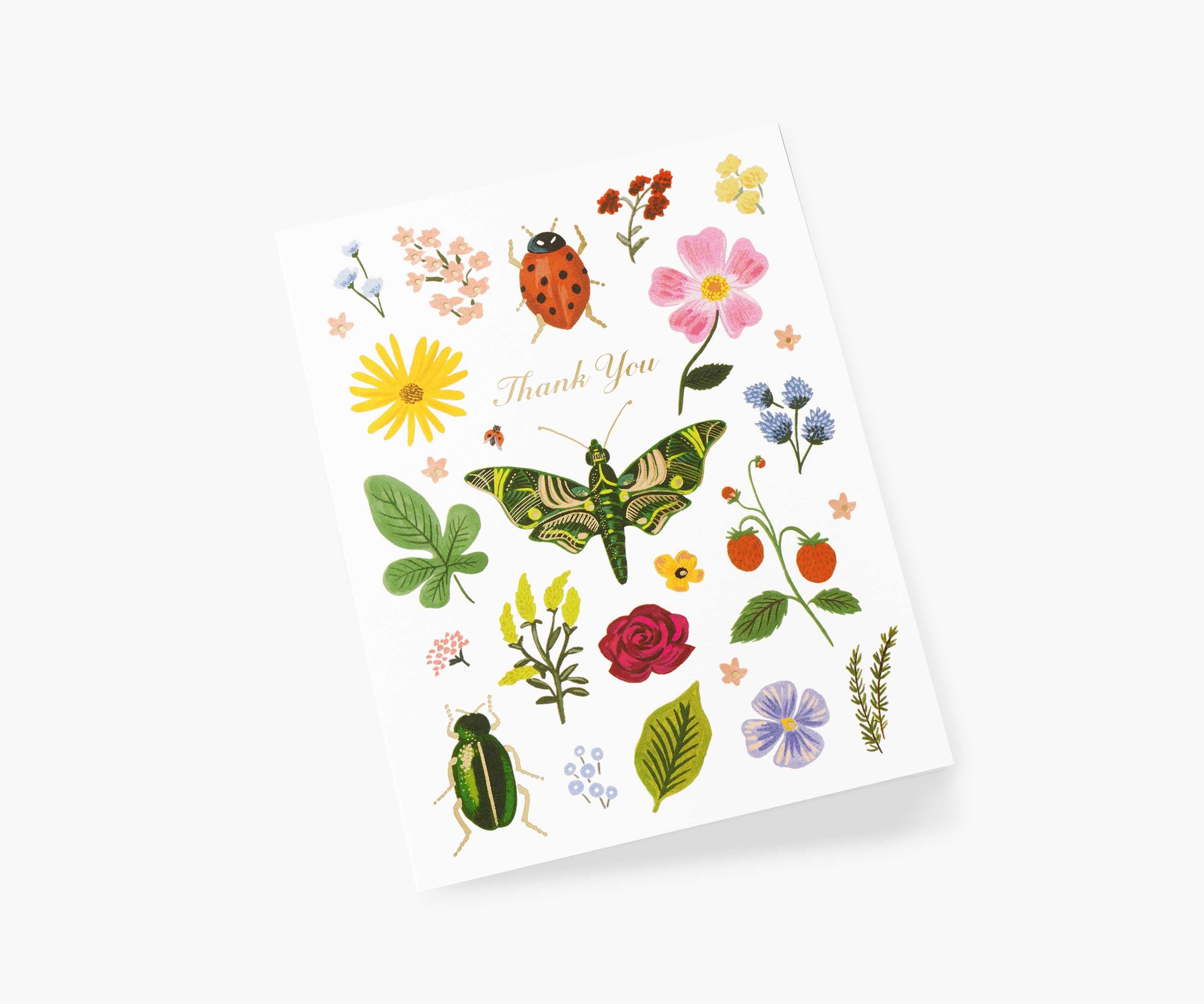 Curio Thank You Greeting Card