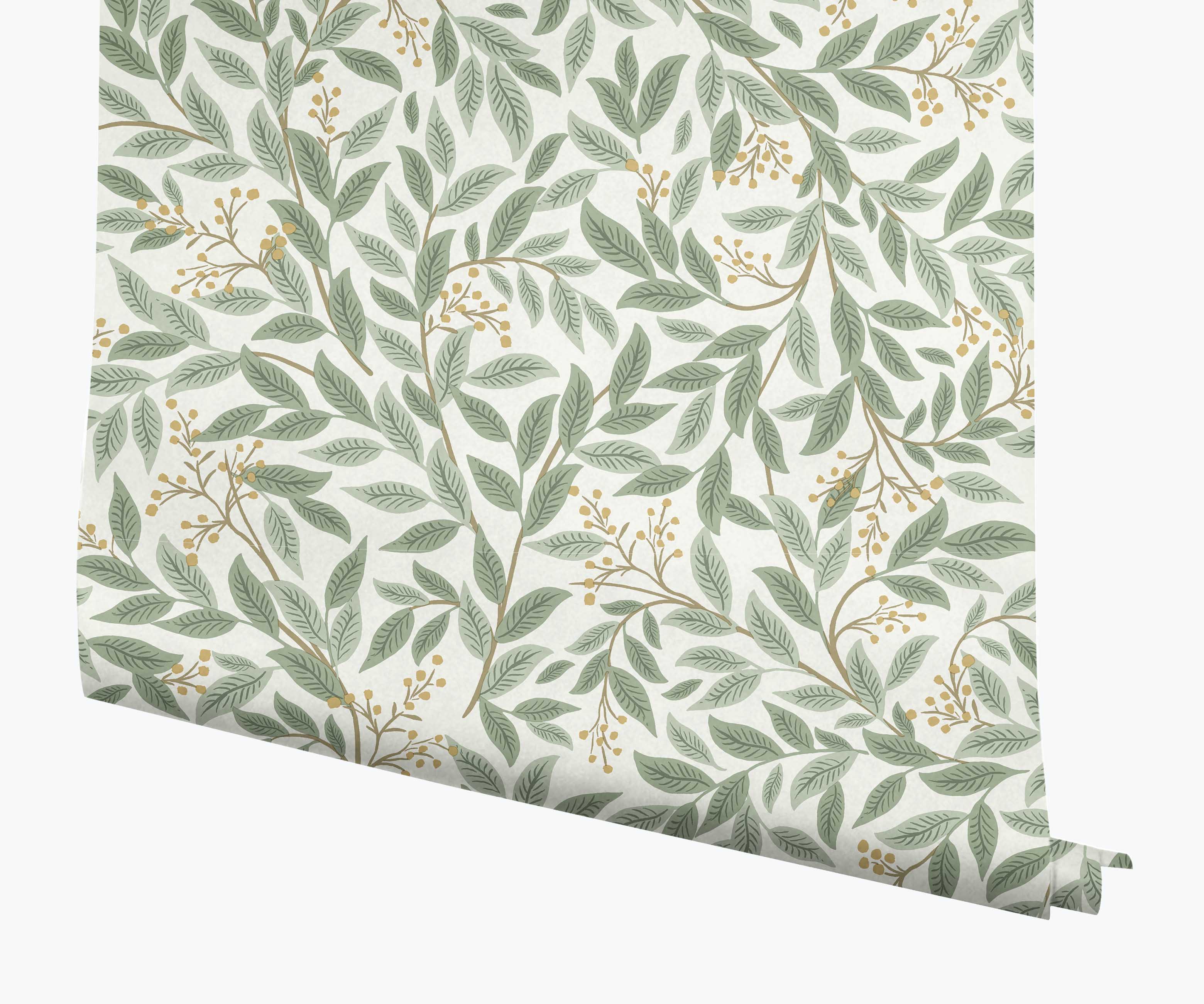 Willowberry Wallpaper - Sage & White