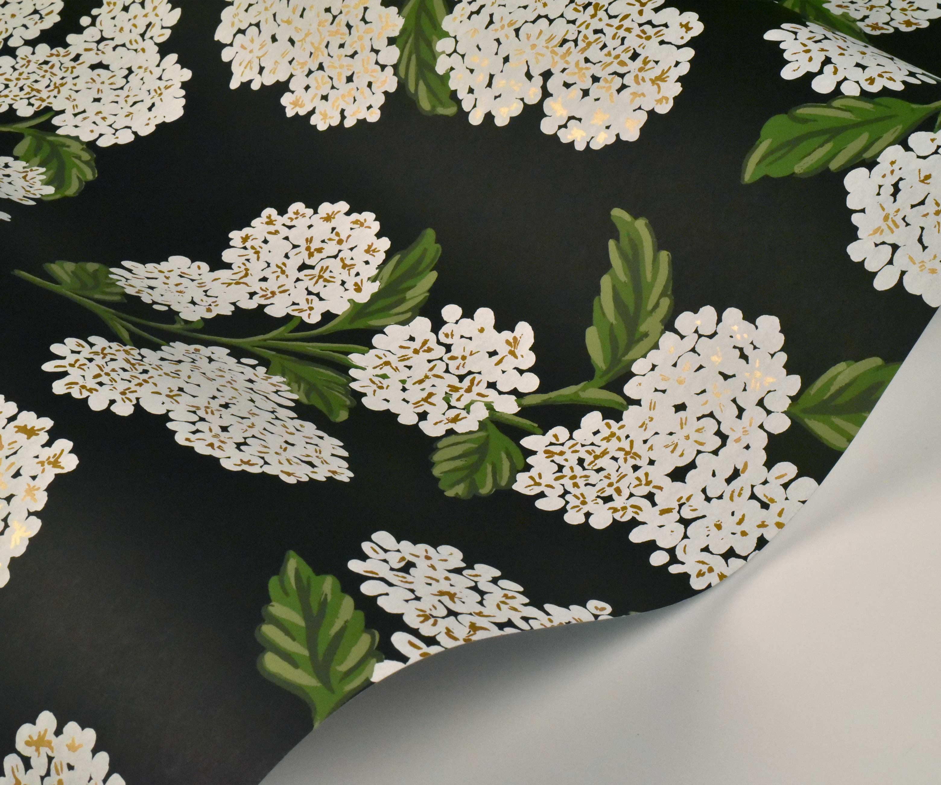 Hydrangea Wallpaper Sample - Black & White