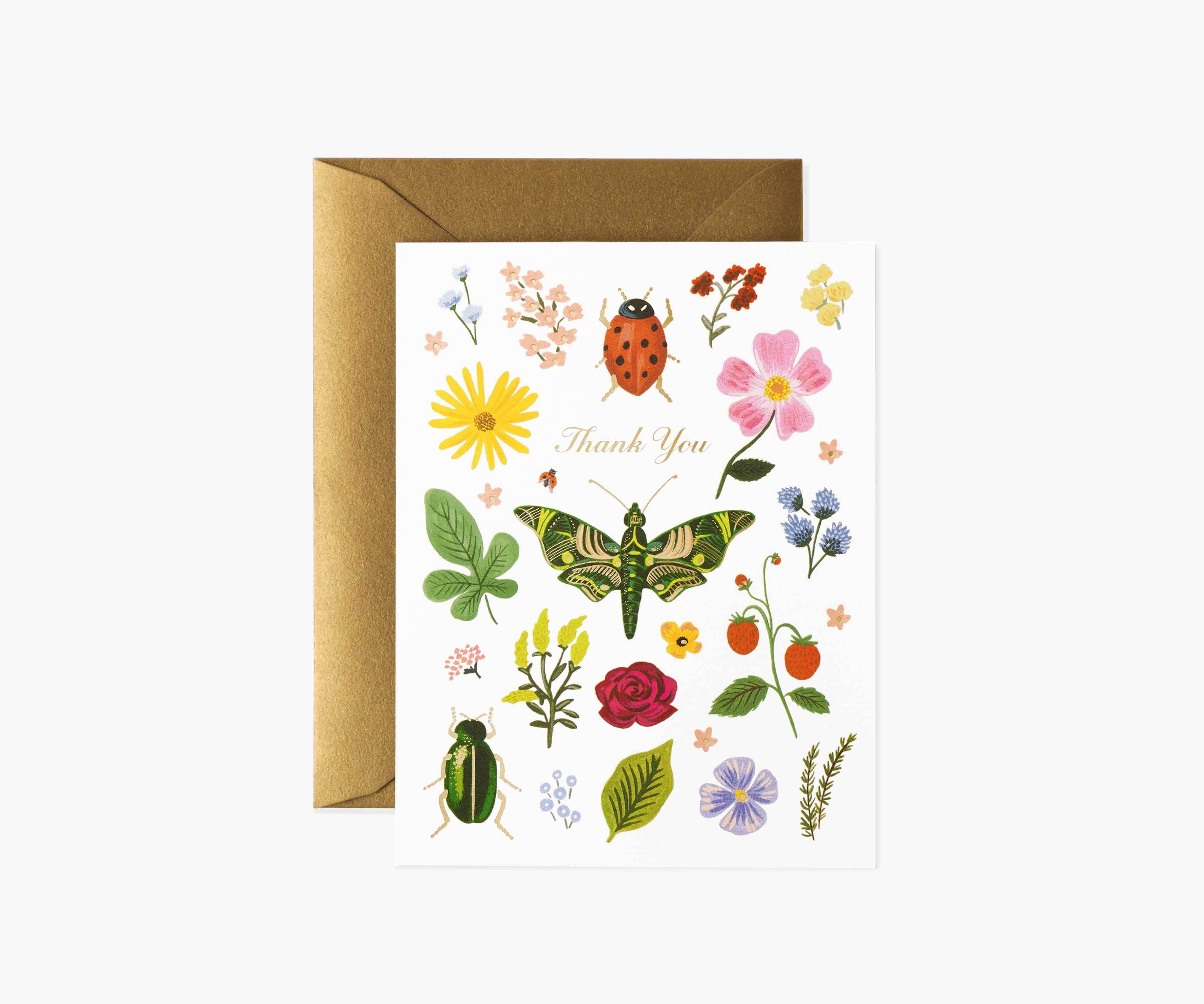 Curio Thank You Greeting Card