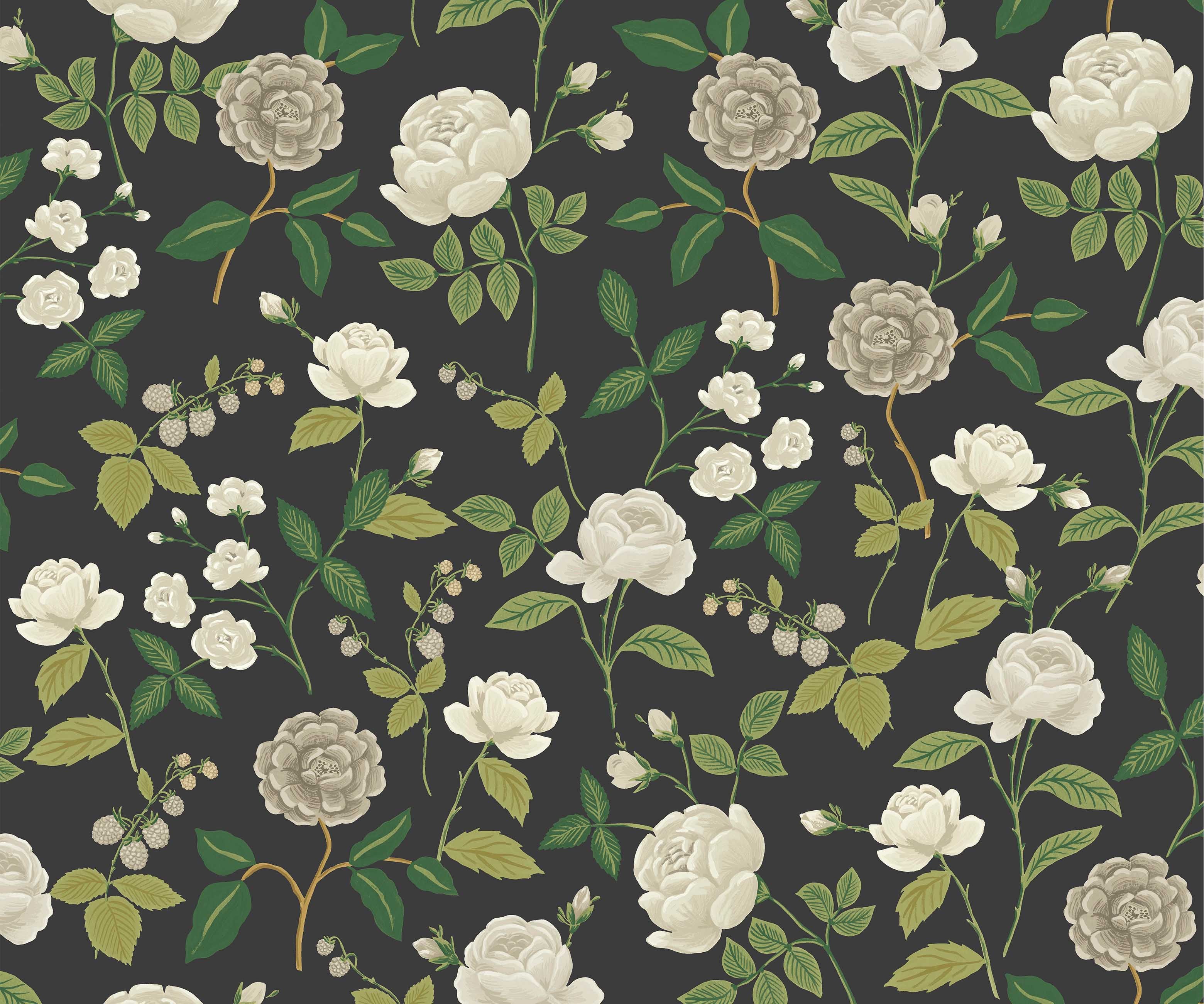 Roses Wallpaper - Black