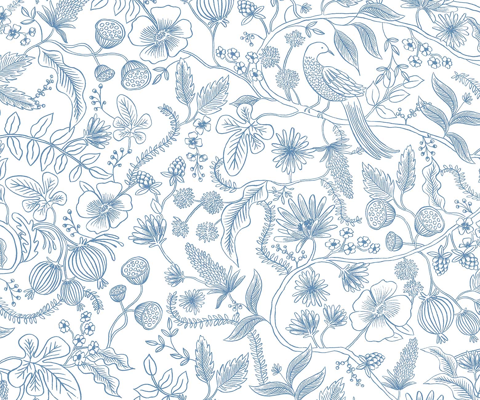 Aviary Peel & Stick Wallpaper - Blue & Cream