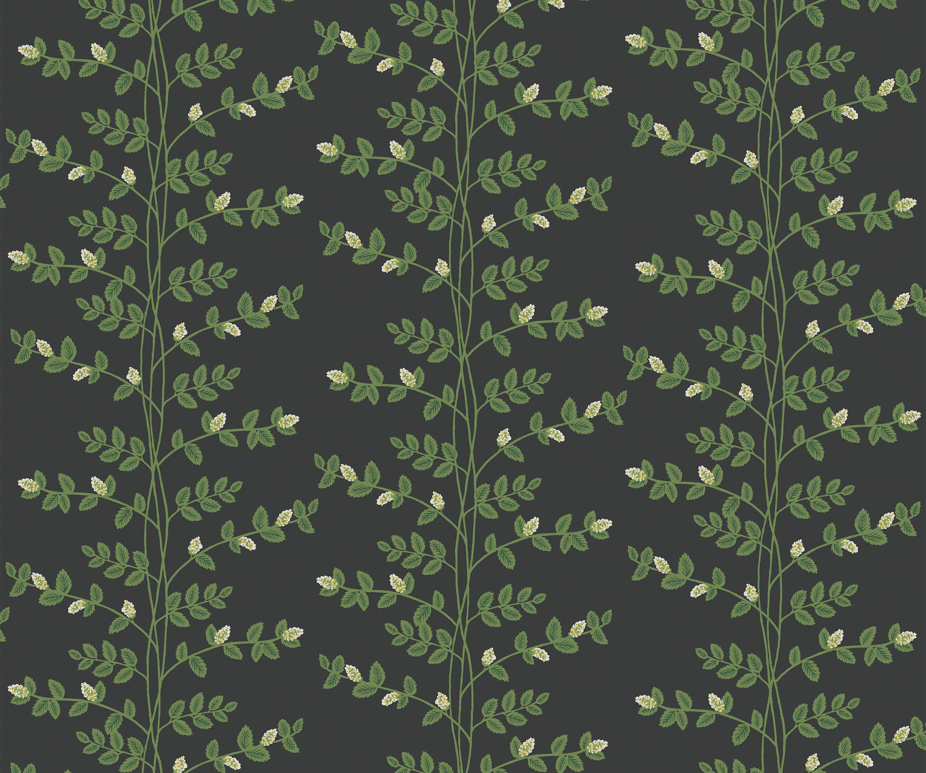 Climbing Vines Wallpaper - Black