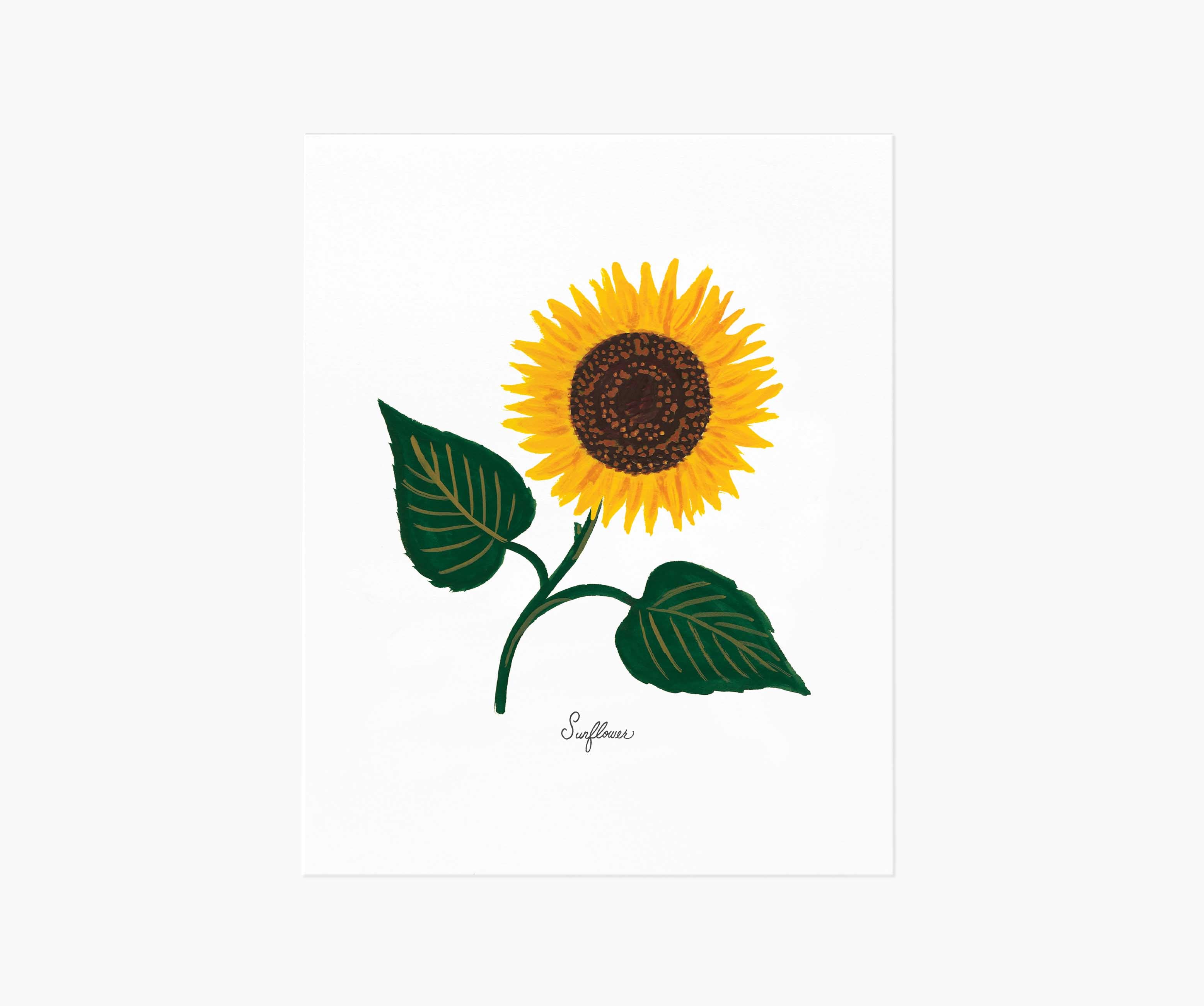 Sunflower Art Print