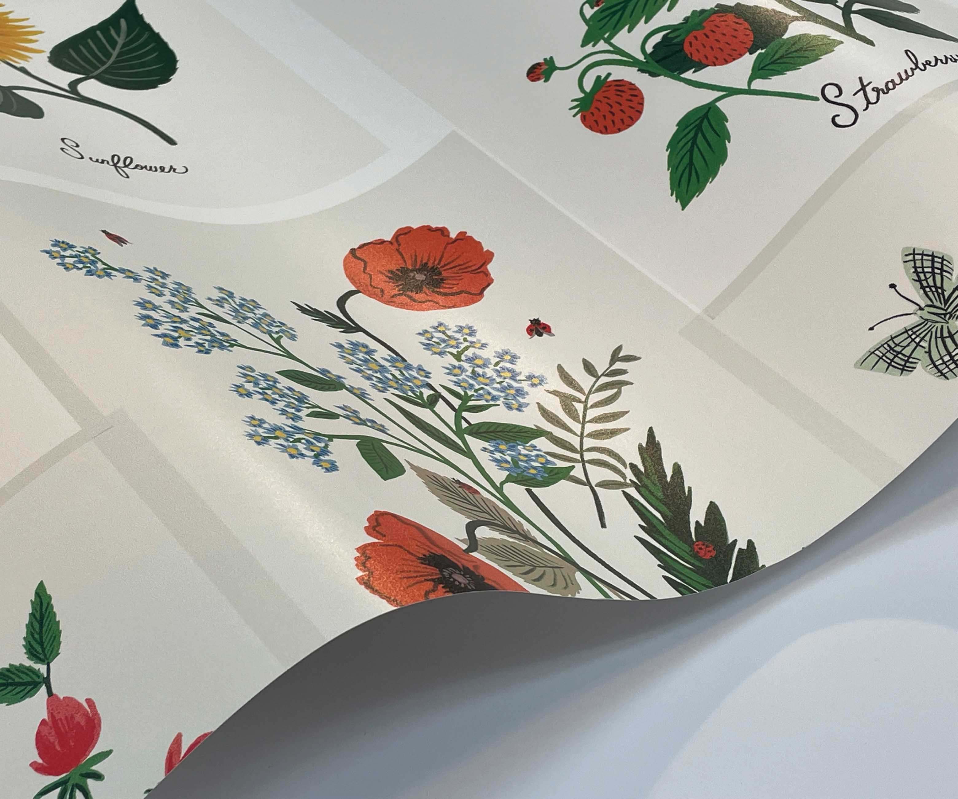 Botanical Prints Wallpaper Sample - White