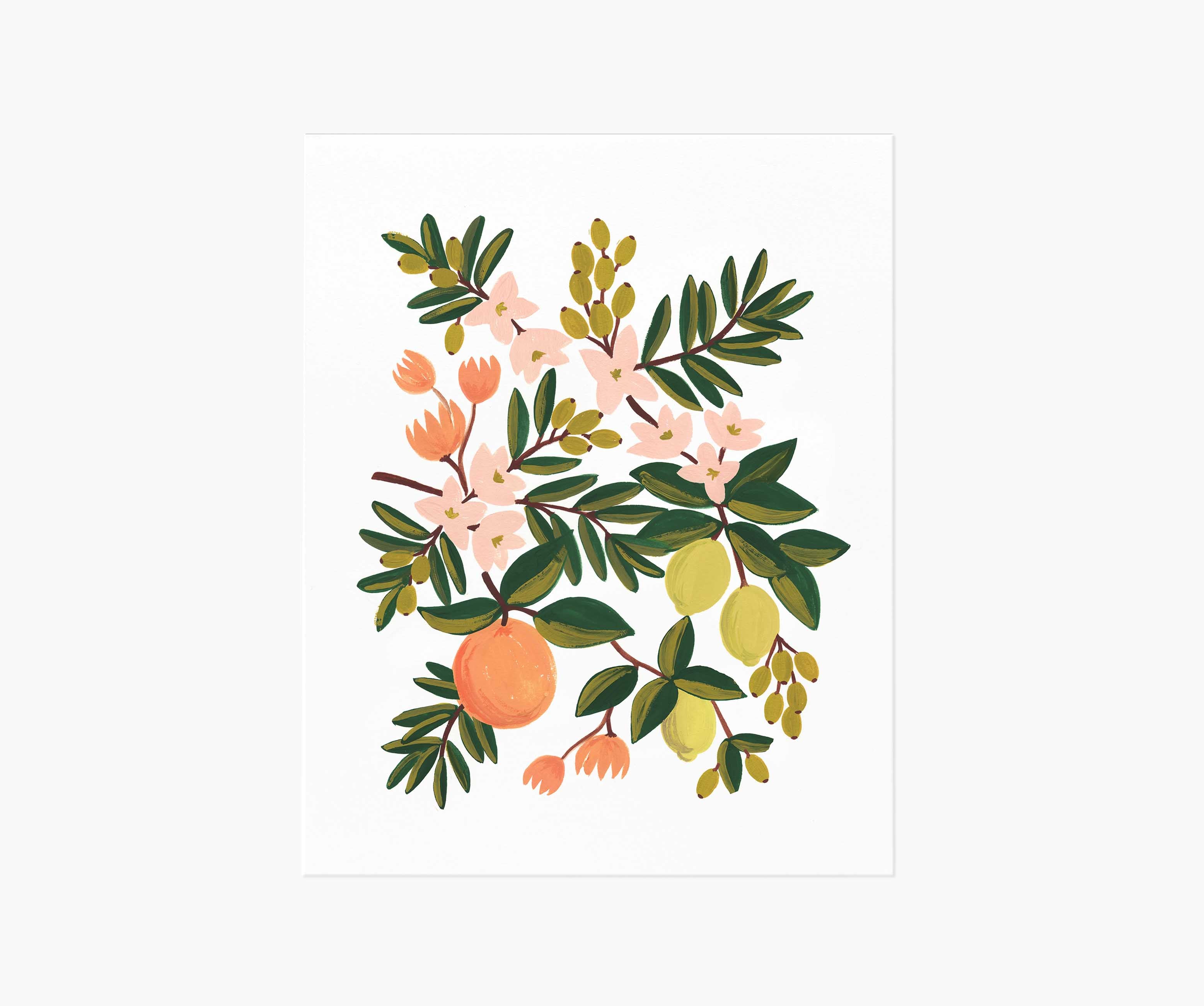 Citrus Floral Art Print