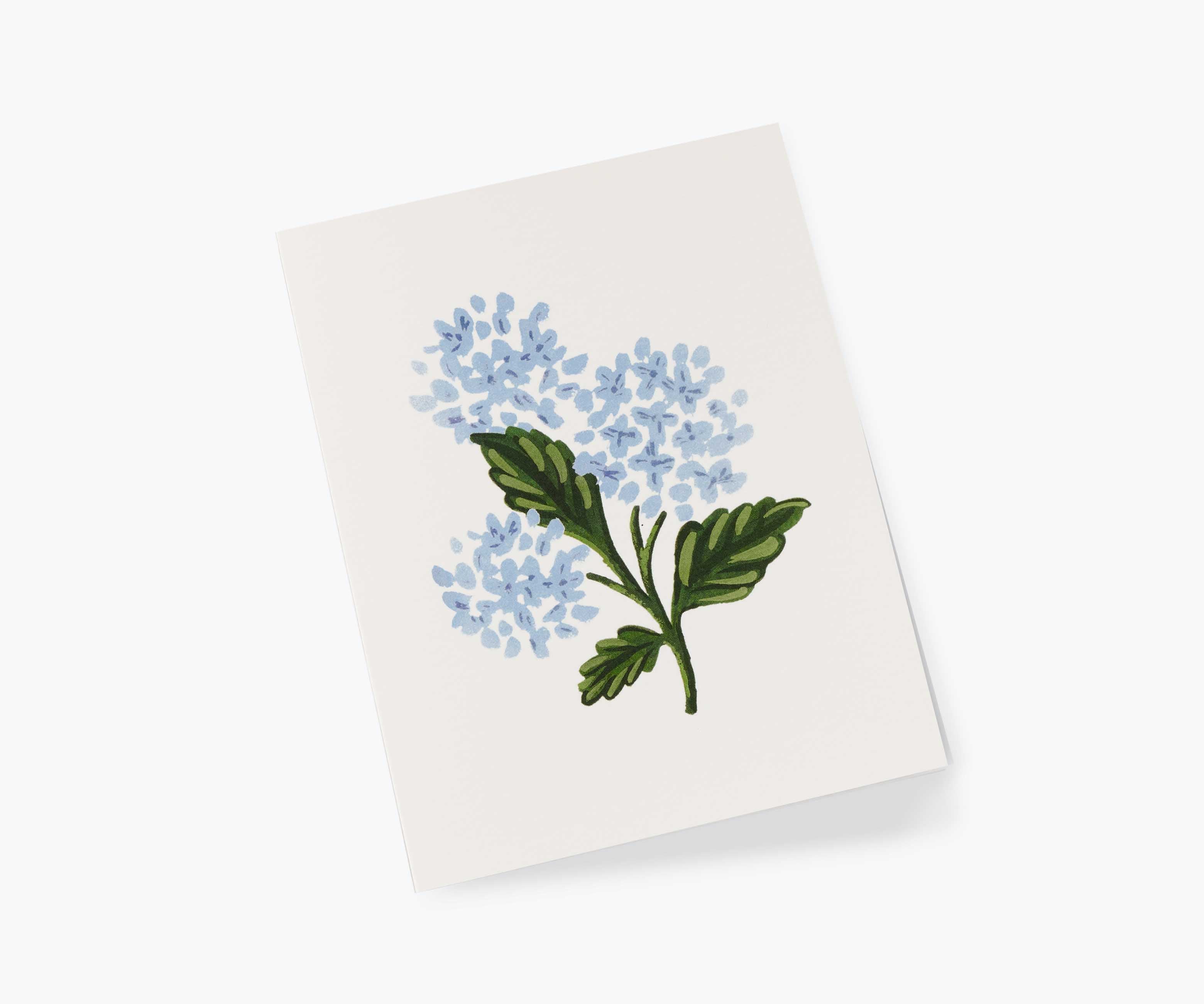 Hydrangea Bloom Card