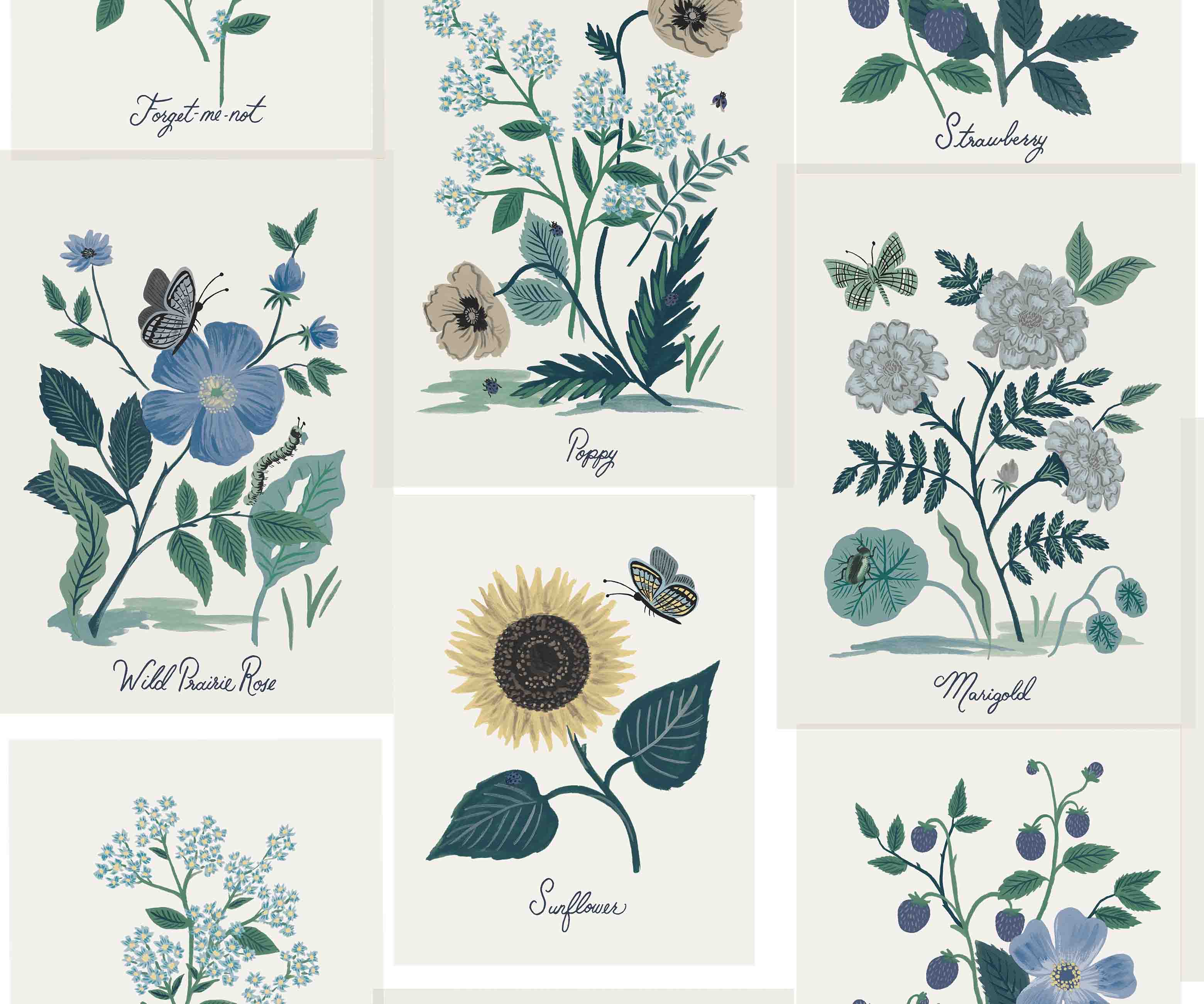 Botanical Prints Wallpaper - Indigo