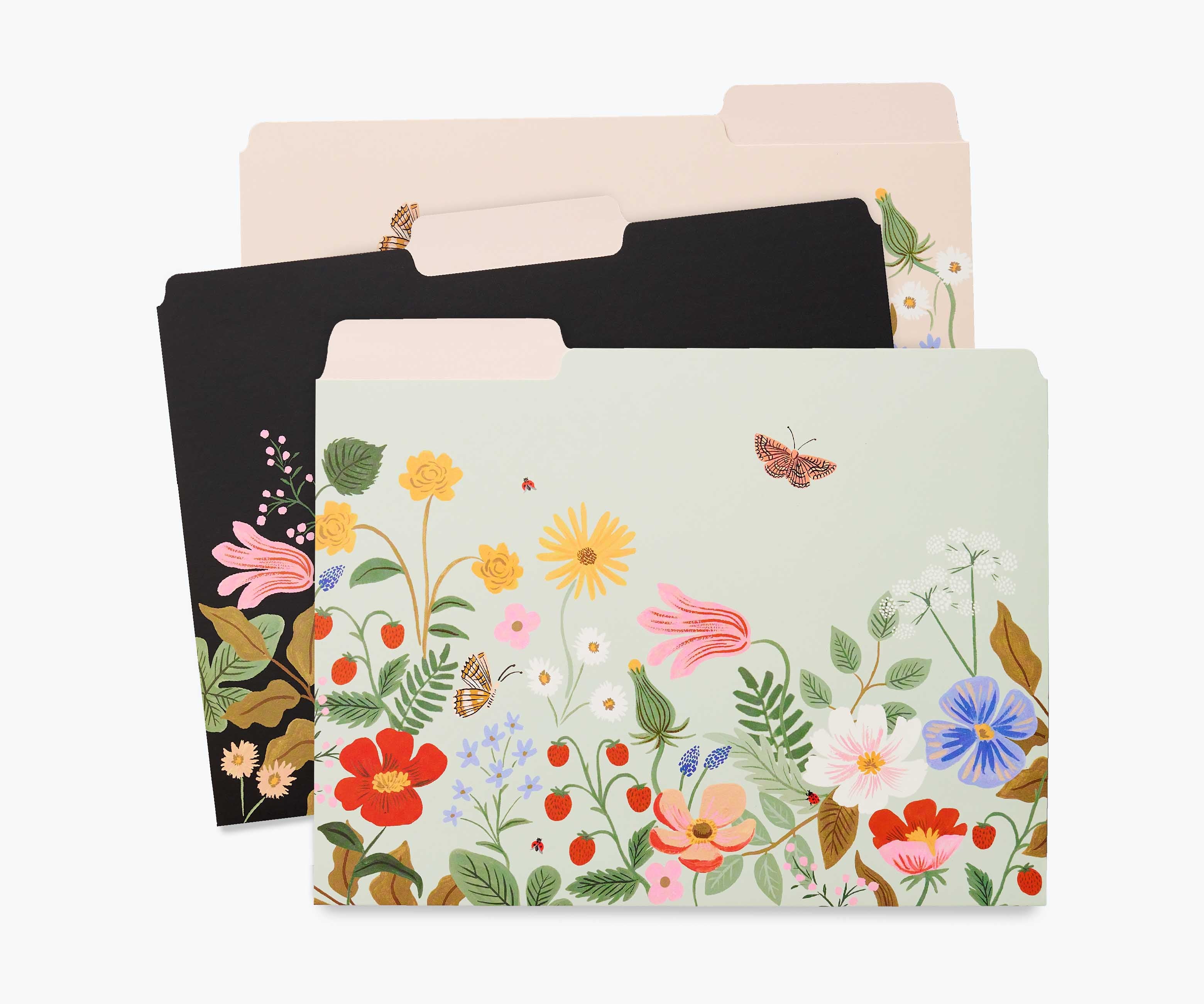 Assorted File Folders - Strawberry Fields