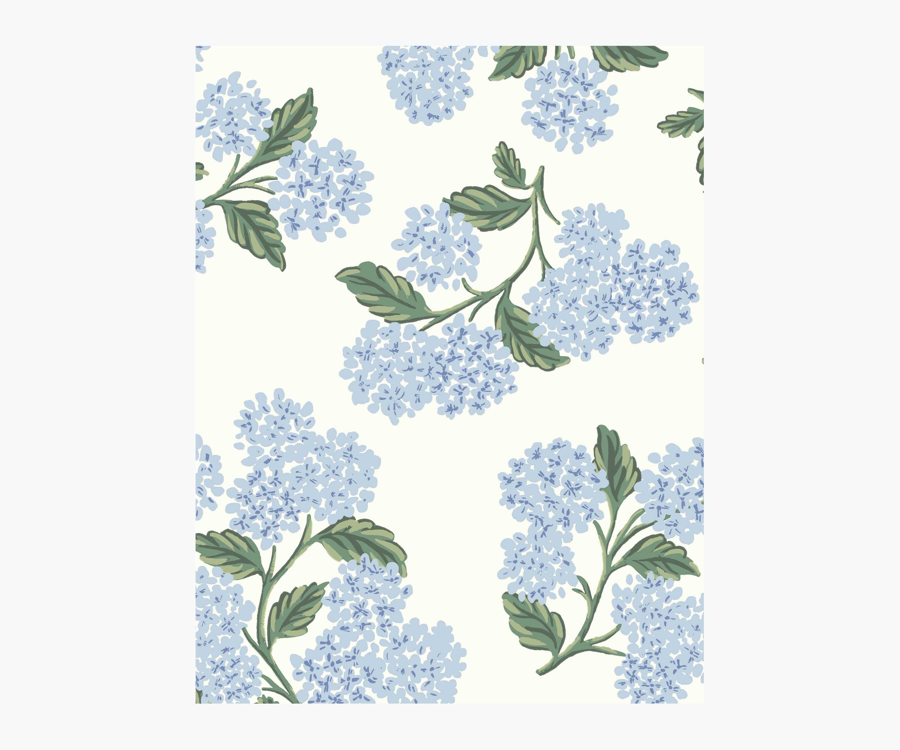 Hydrangea Wallpaper Sample - Blue & White