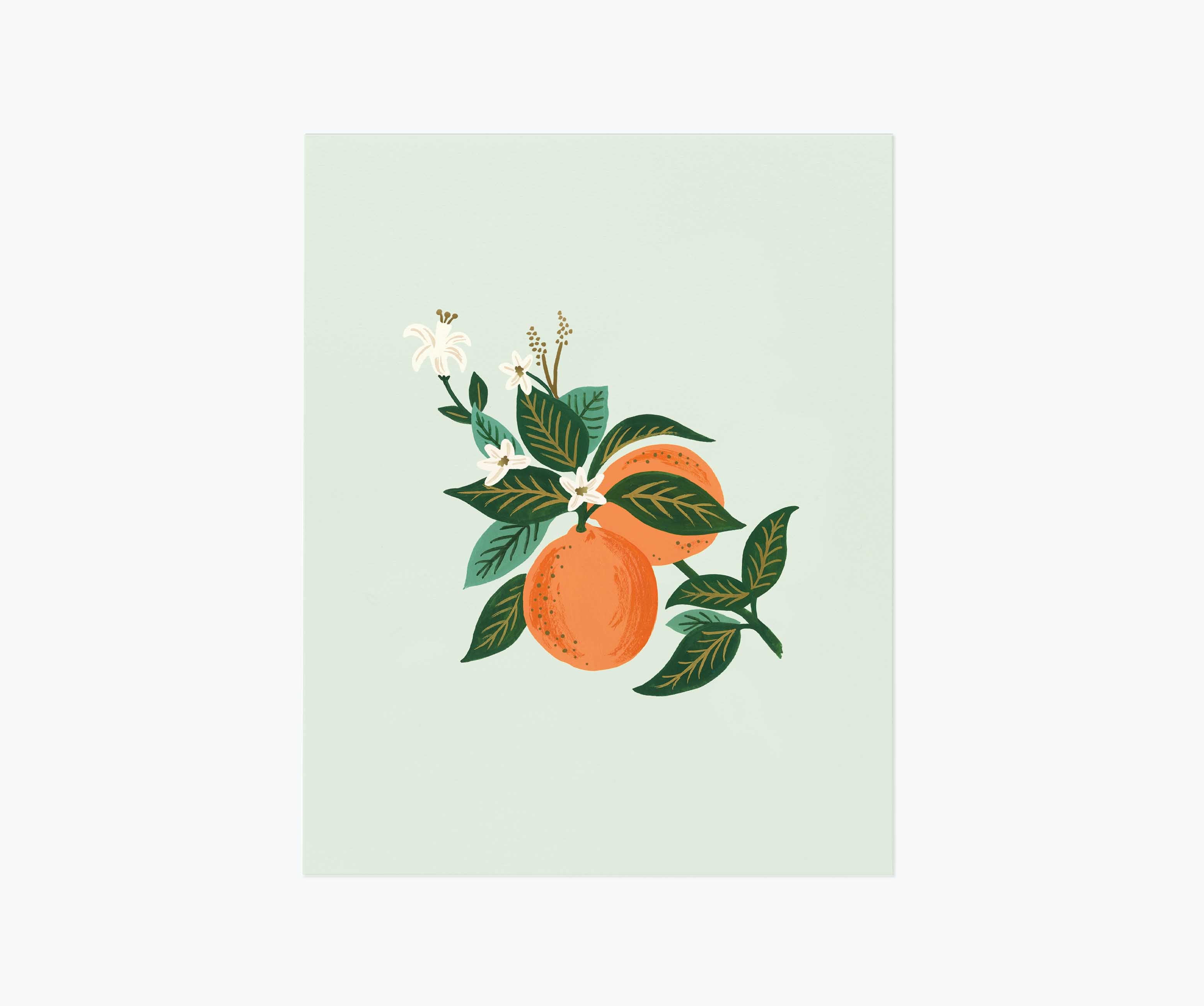 Orange Blossom Art Print