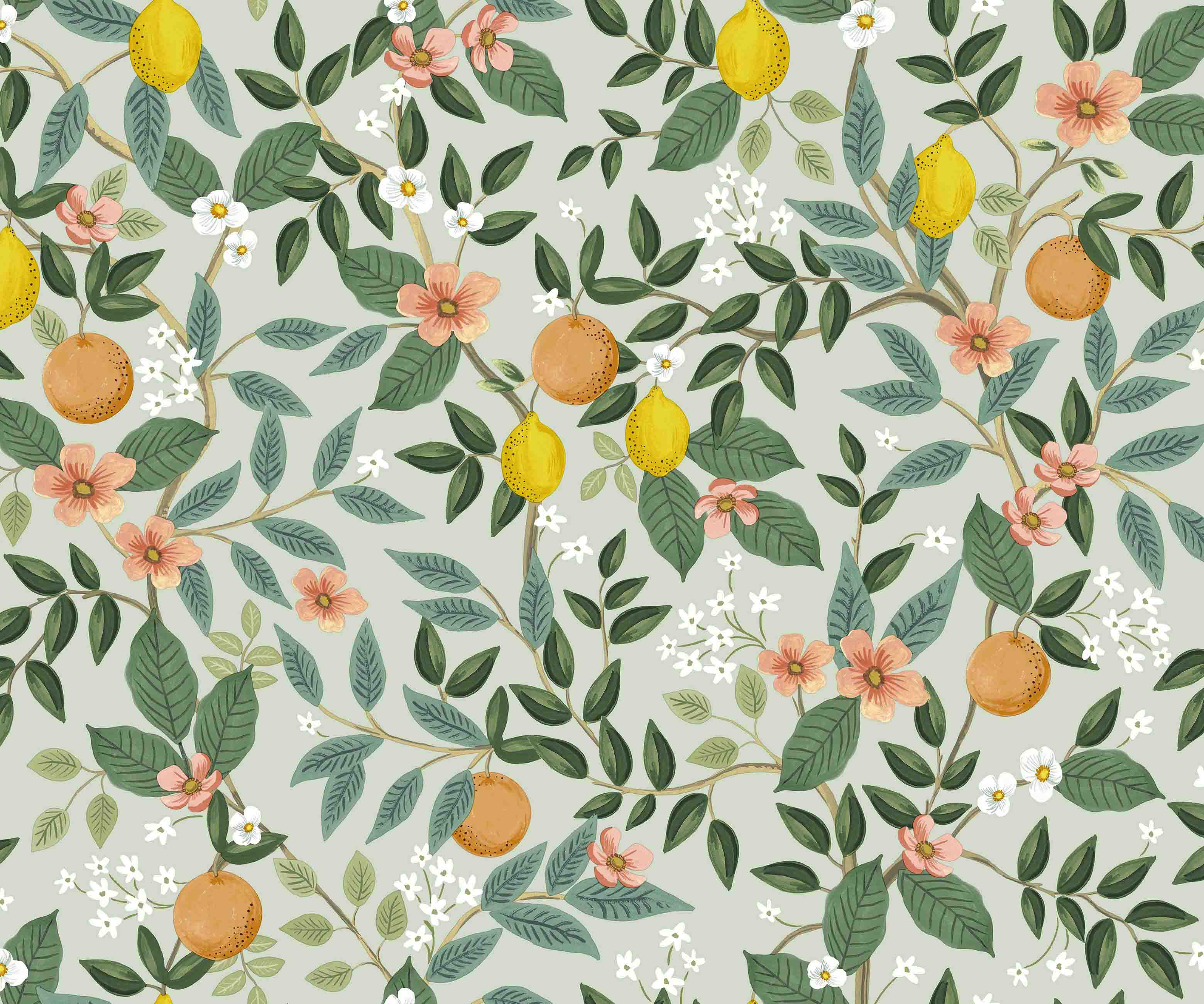 Citrus Grove Peel & Stick Wallpaper - Mint