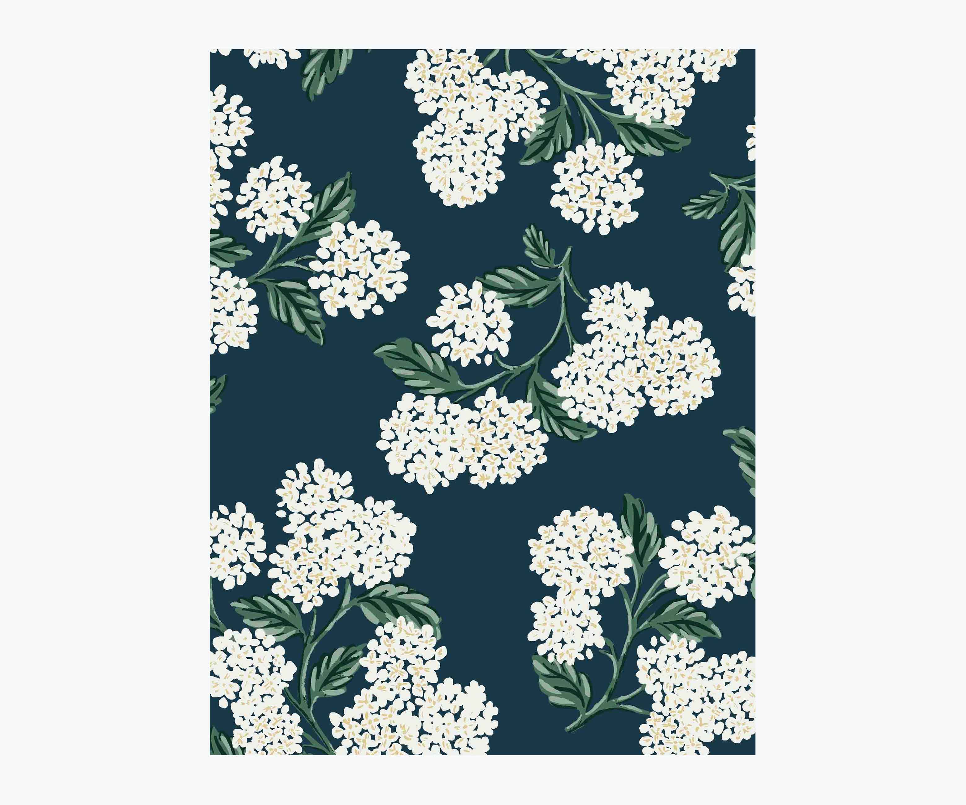 Hydrangea Wallpaper Sample - Teal