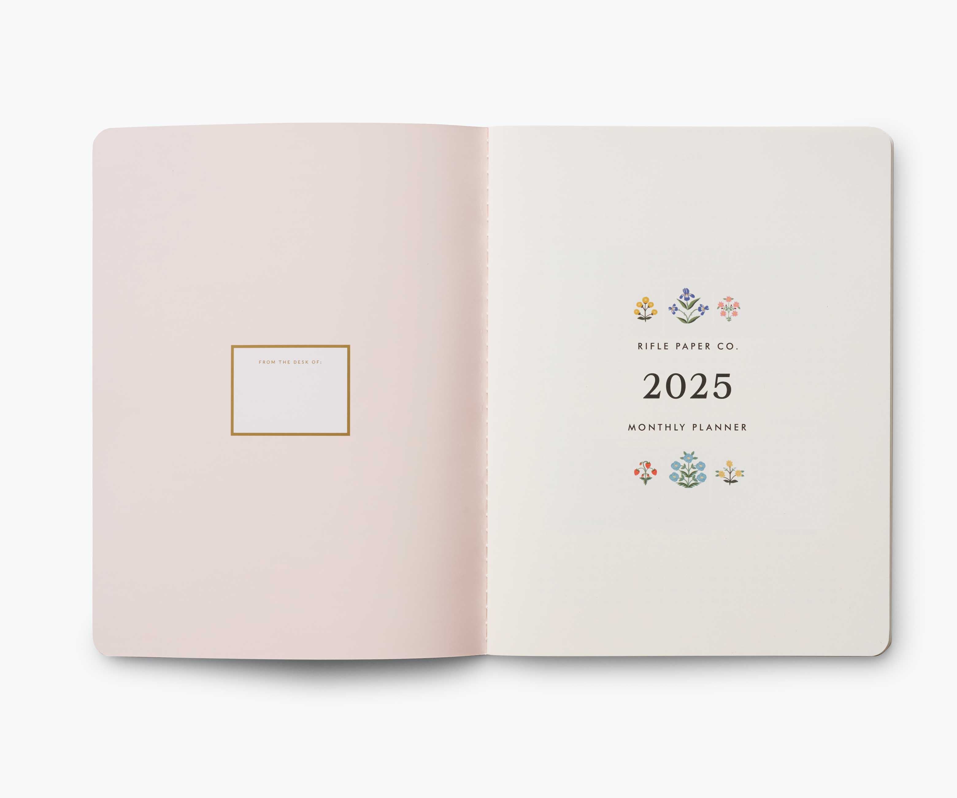 2025 12-Month Appointment Notebook - Estee