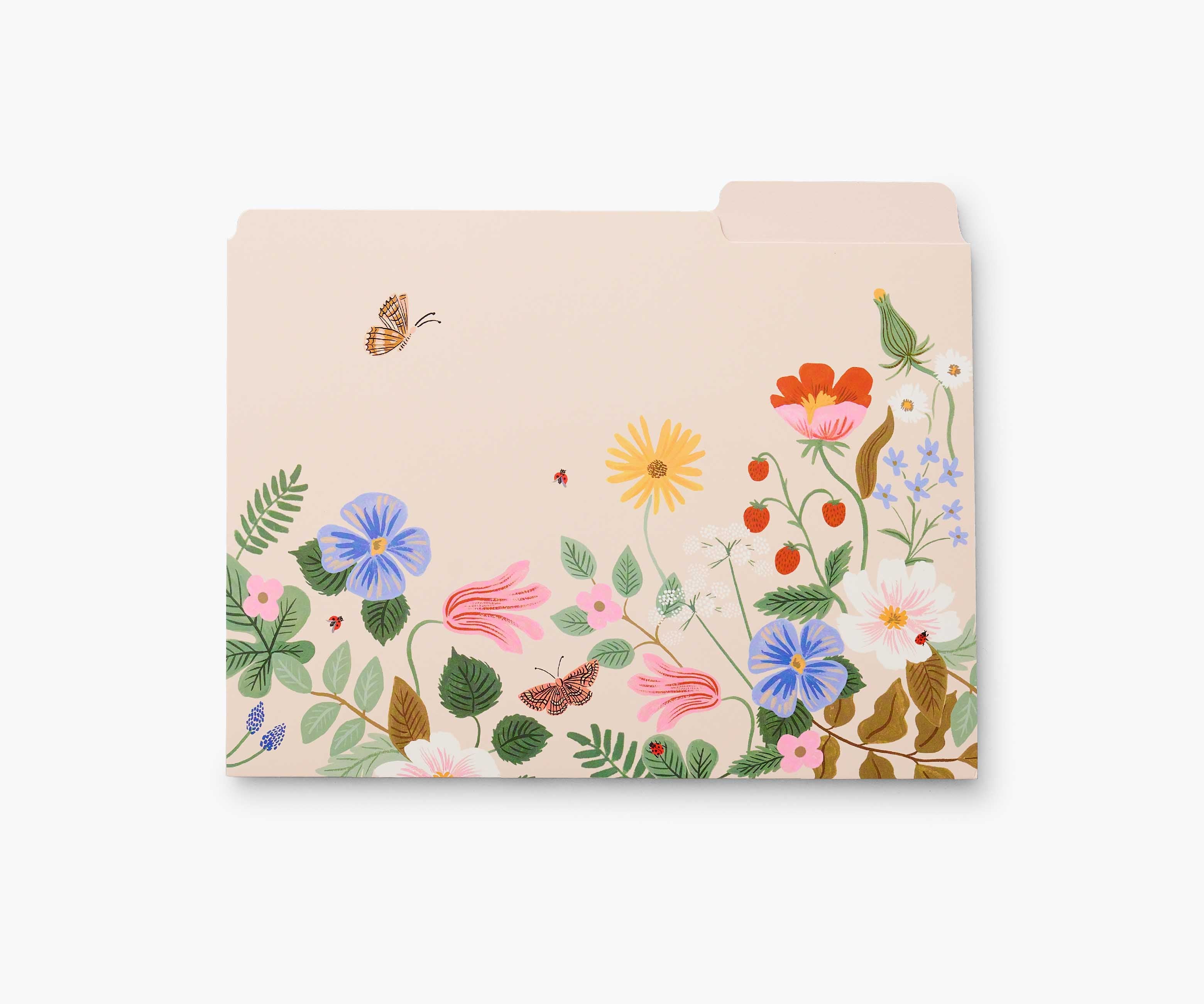 Assorted File Folders - Strawberry Fields