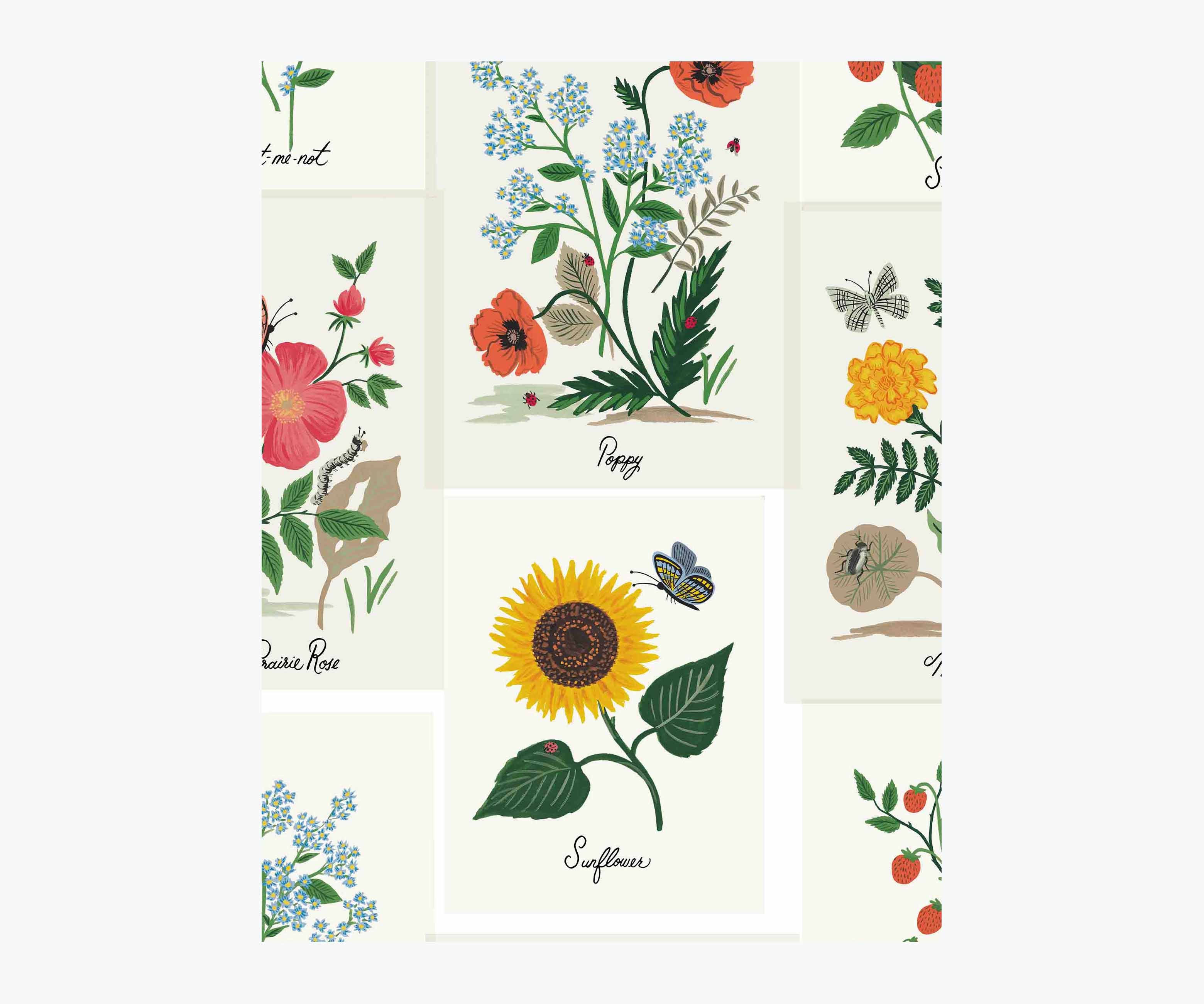 Botanical Prints Wallpaper Sample - White