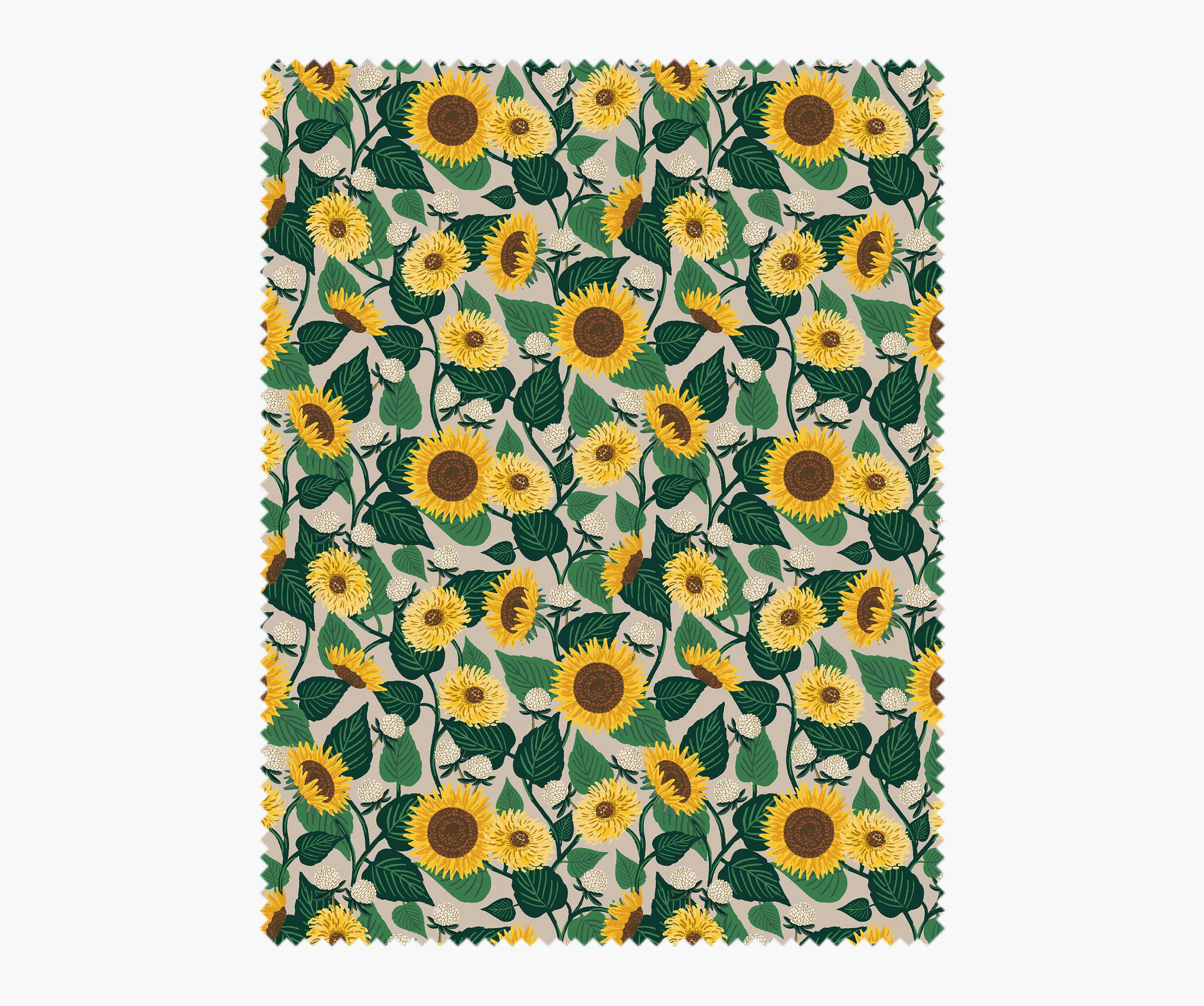 Sunflower Fields Cotton Fabric - Cream