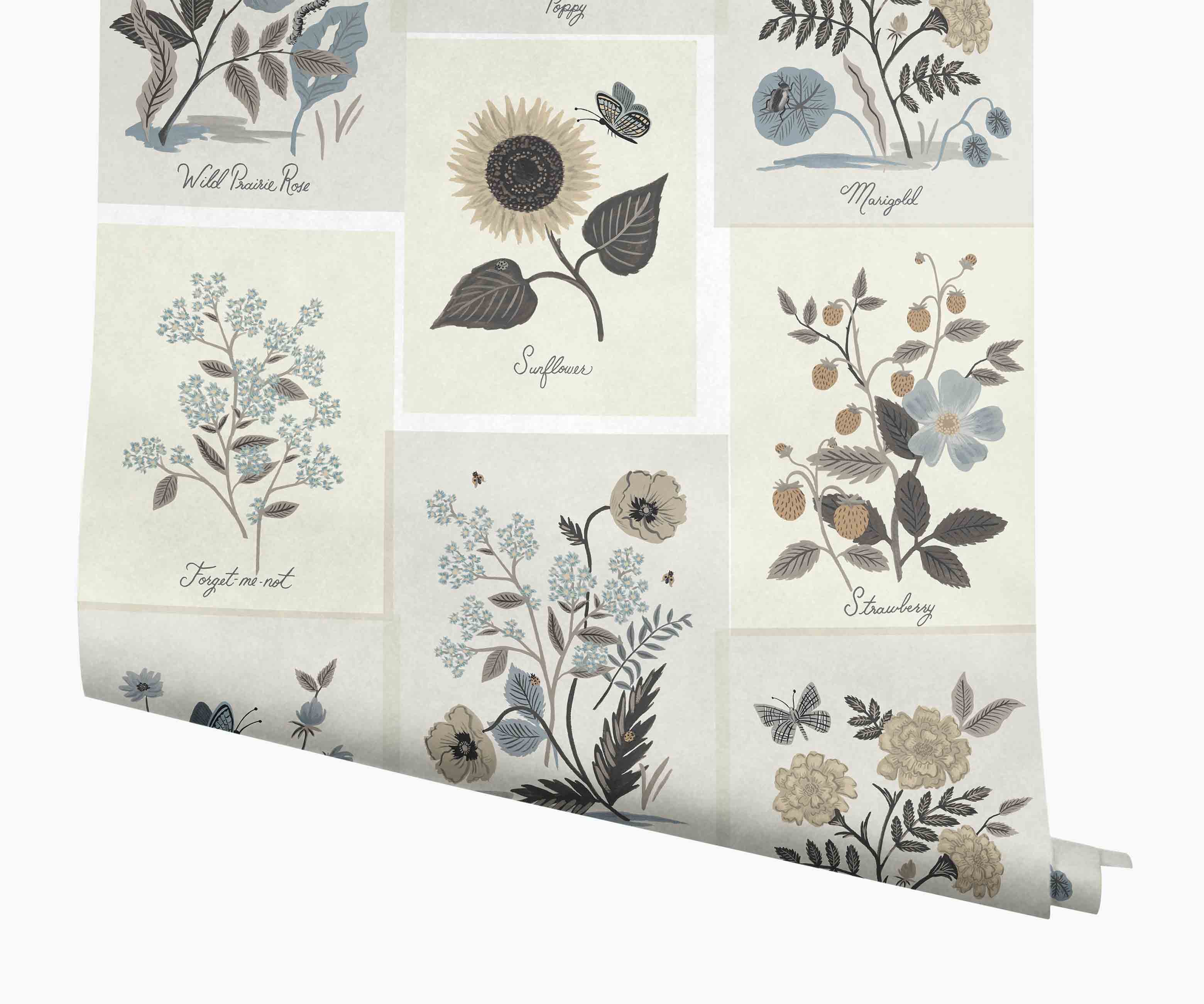 Botanical Prints Wallpaper - Linen