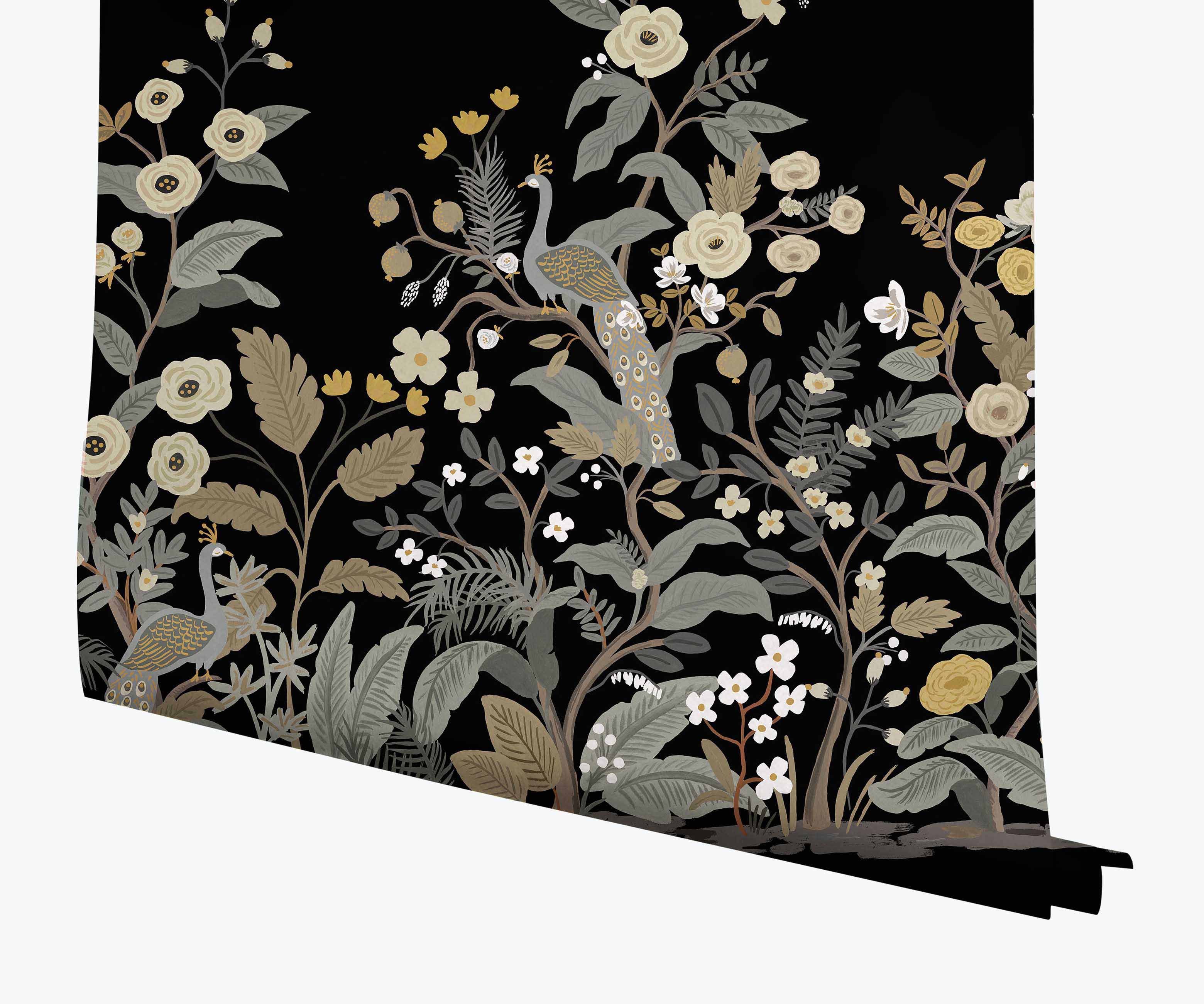 Peacock Wallpaper Mural - Black