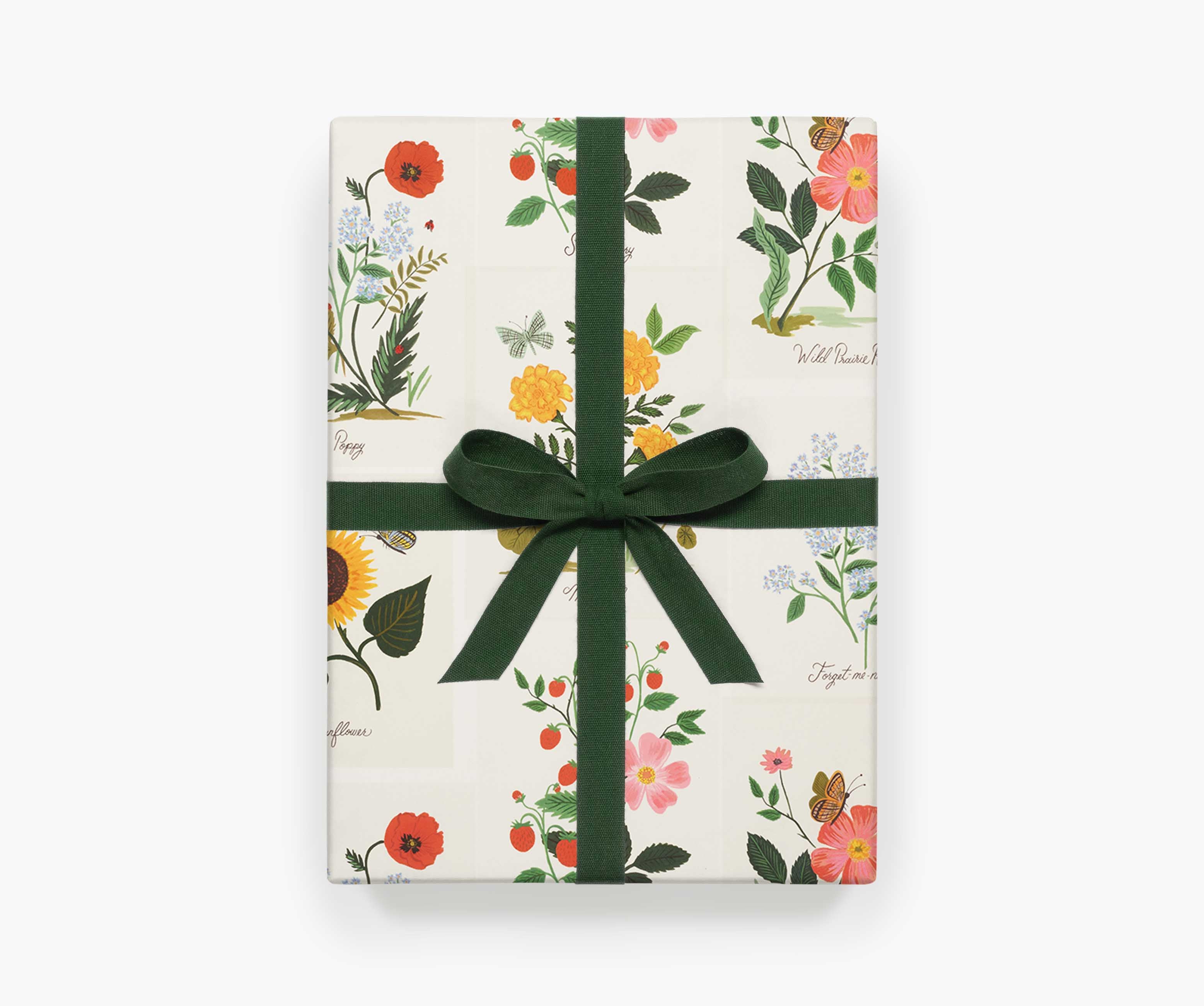 Wrapping Sheets - Botanical