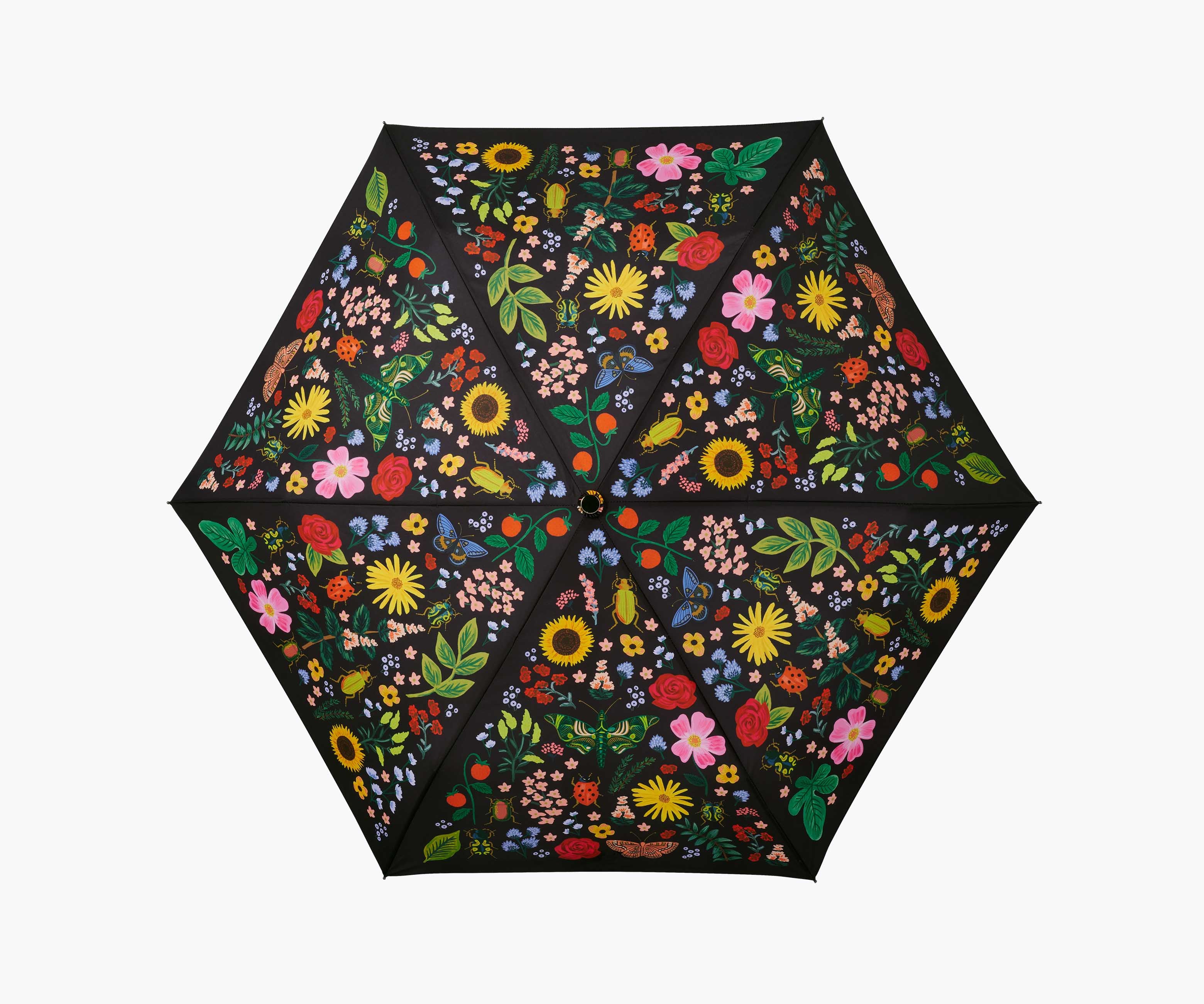 Umbrella - Curio