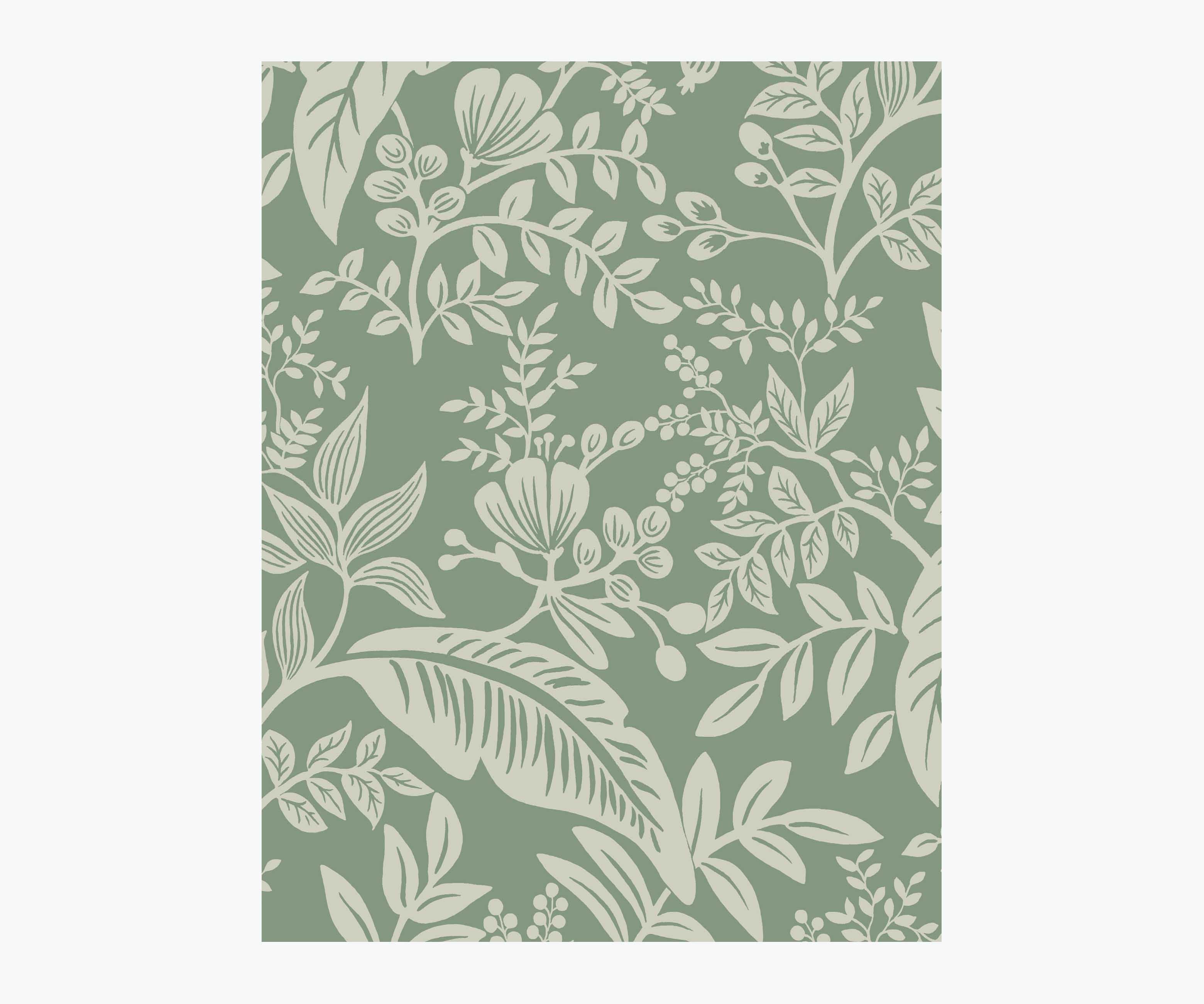 Canopy Wallpaper Sample - Sage